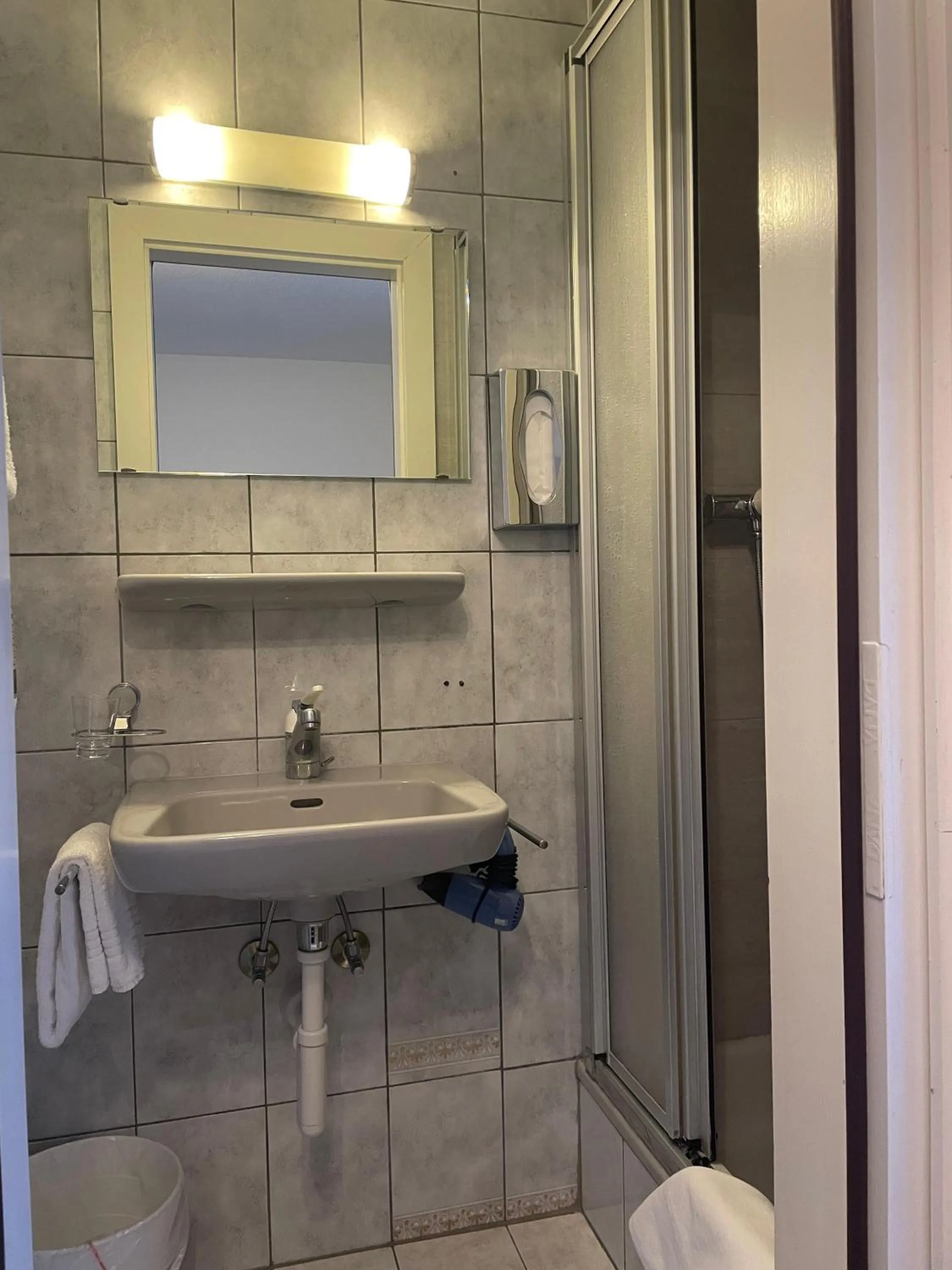 Shower in Hotel Europe Brig