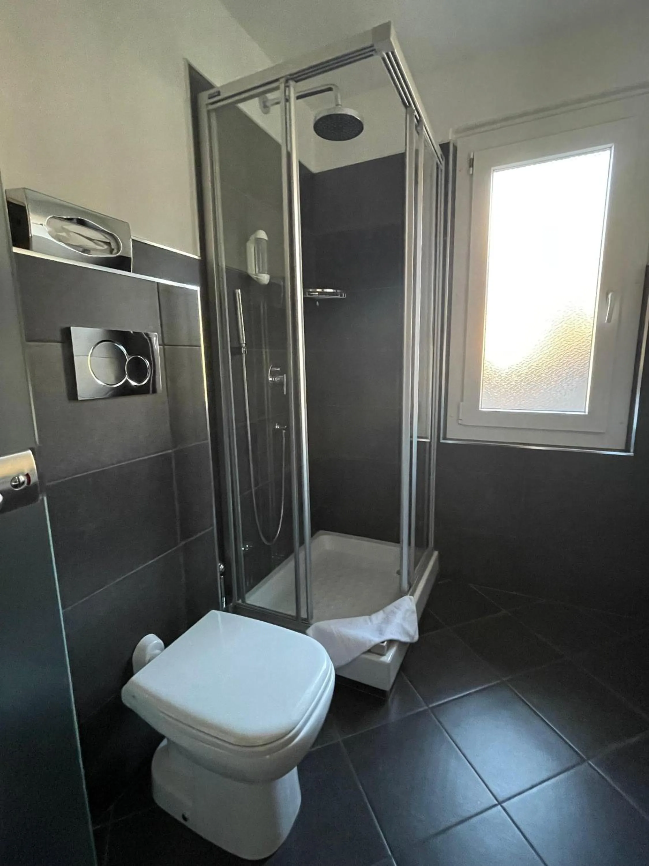 Shower in Hotel Europe Brig