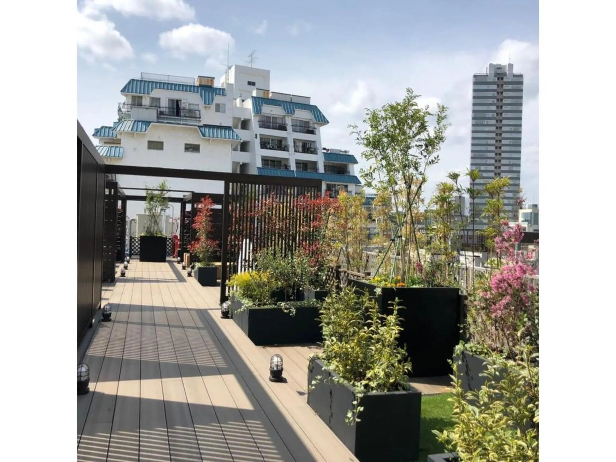 Act Hotel Roppongi - Vacation STAY 84273