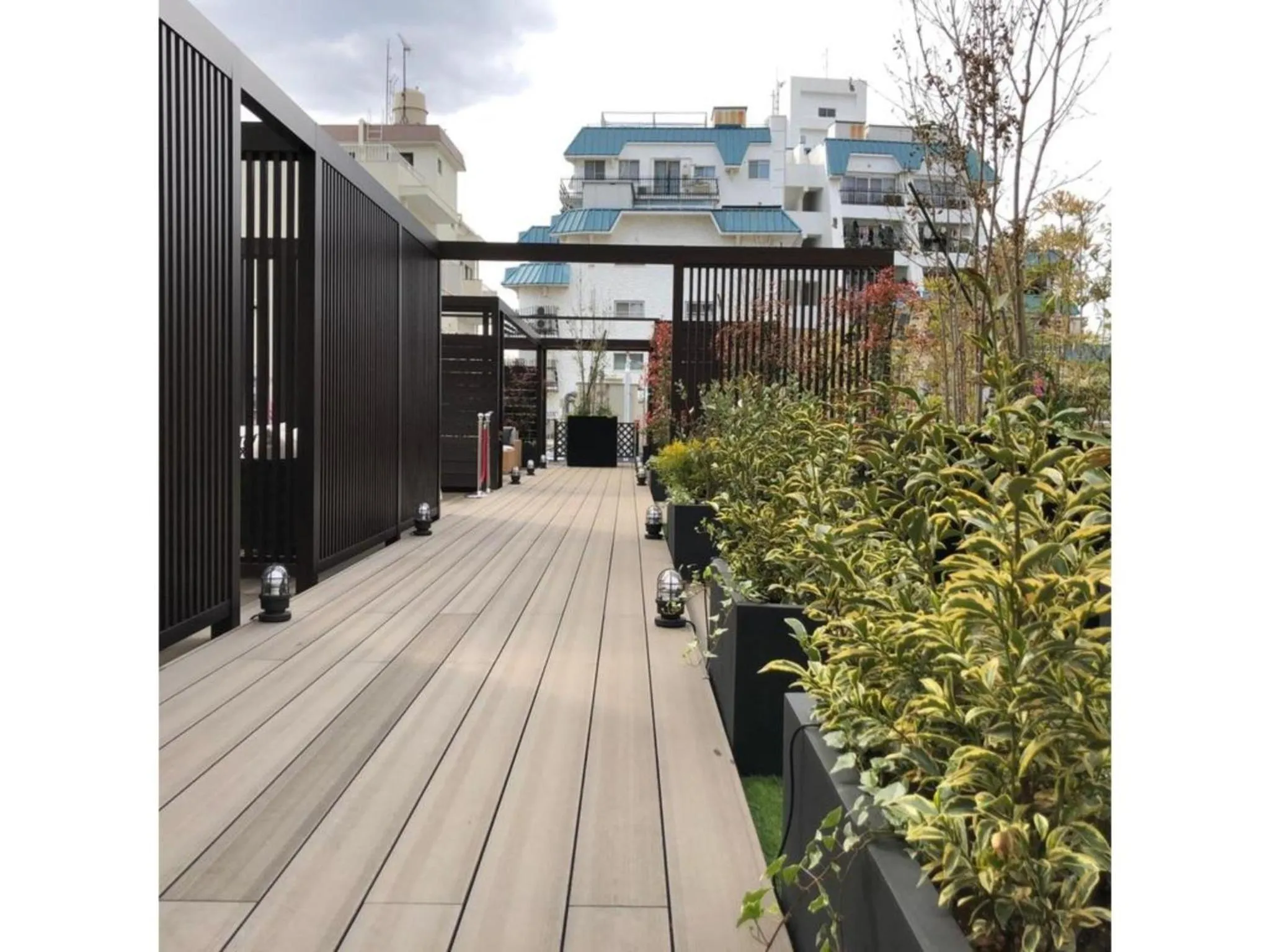 Act Hotel Roppongi - Vacation STAY 84277