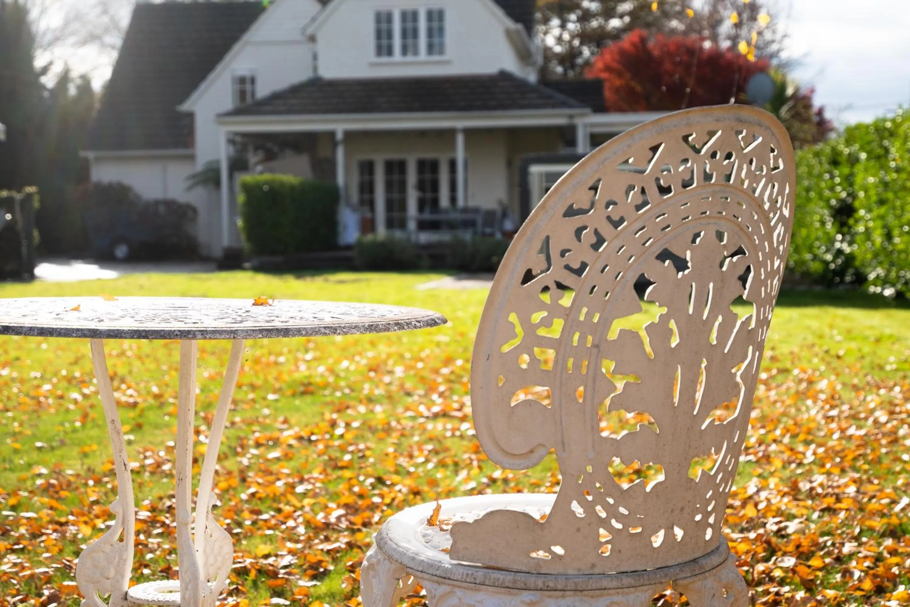 Garden in number41 Bed + Breakfast