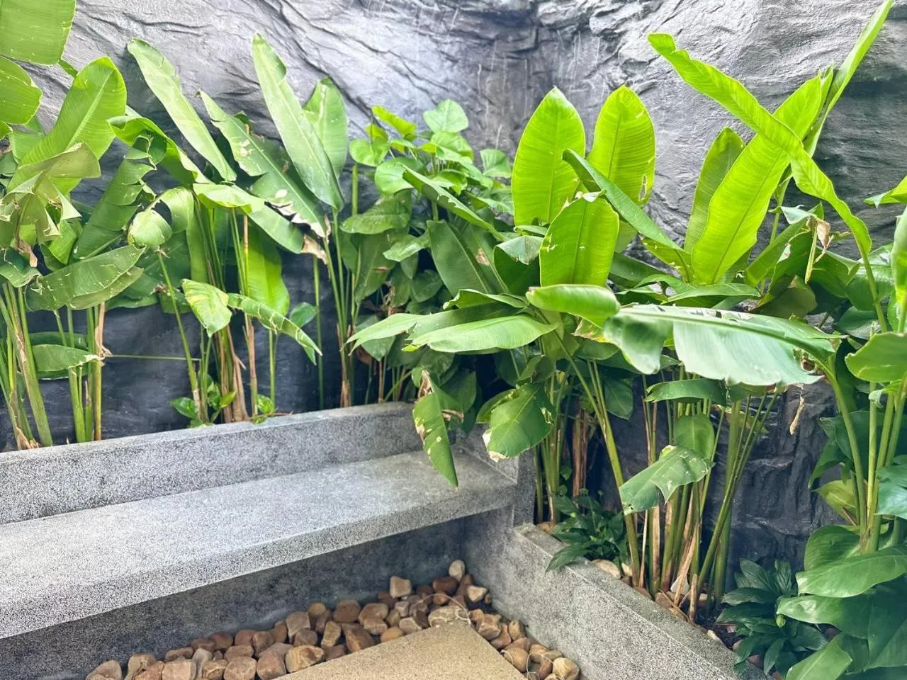 Garden view in Raing Phnom Bungalow