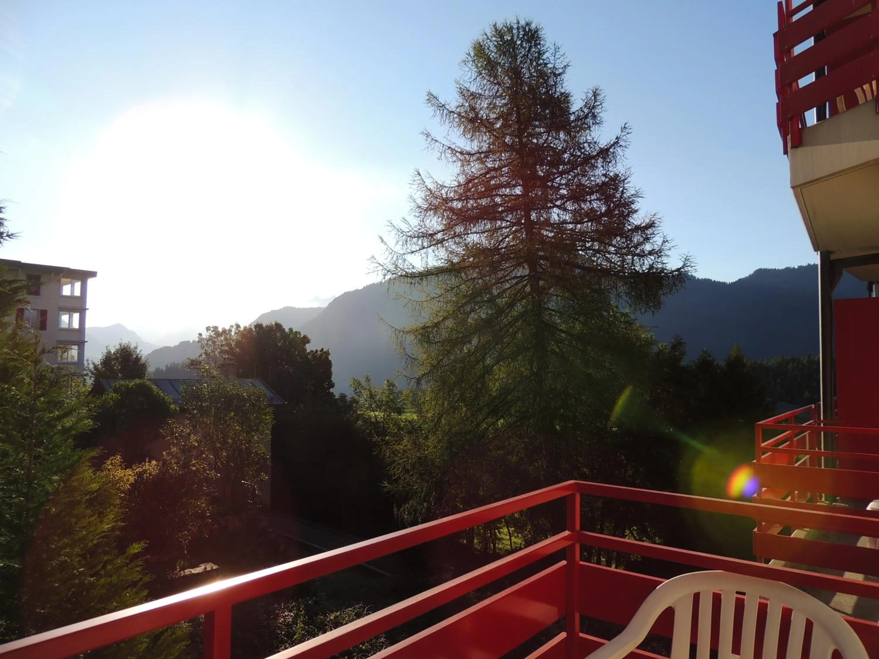 Balcony/Terrace in Alpine Classic Hotel