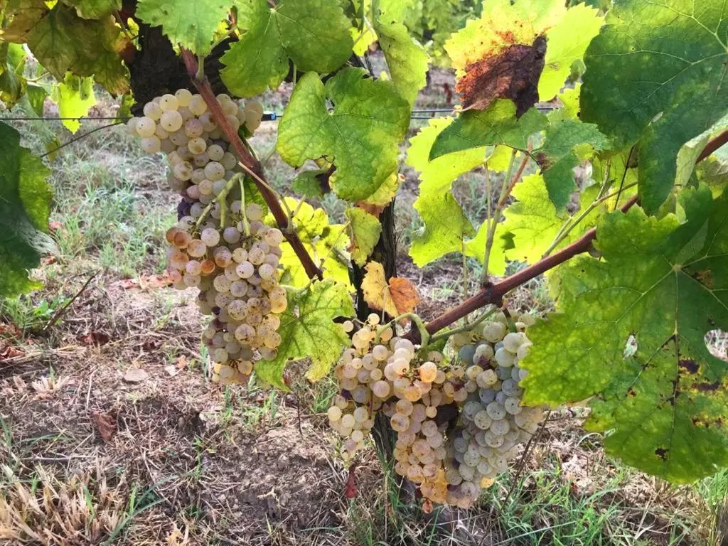 Other in Casale Caterina Agriresort