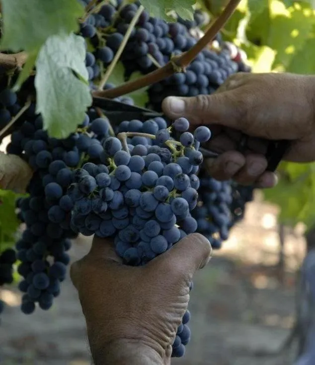 Casale Caterina Agriresort