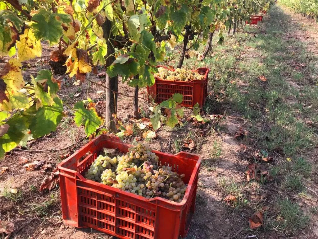 Autumn in Casale Caterina Agriresort