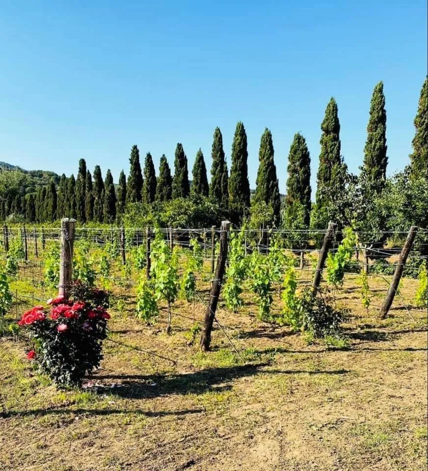 Casale Caterina Agriresort