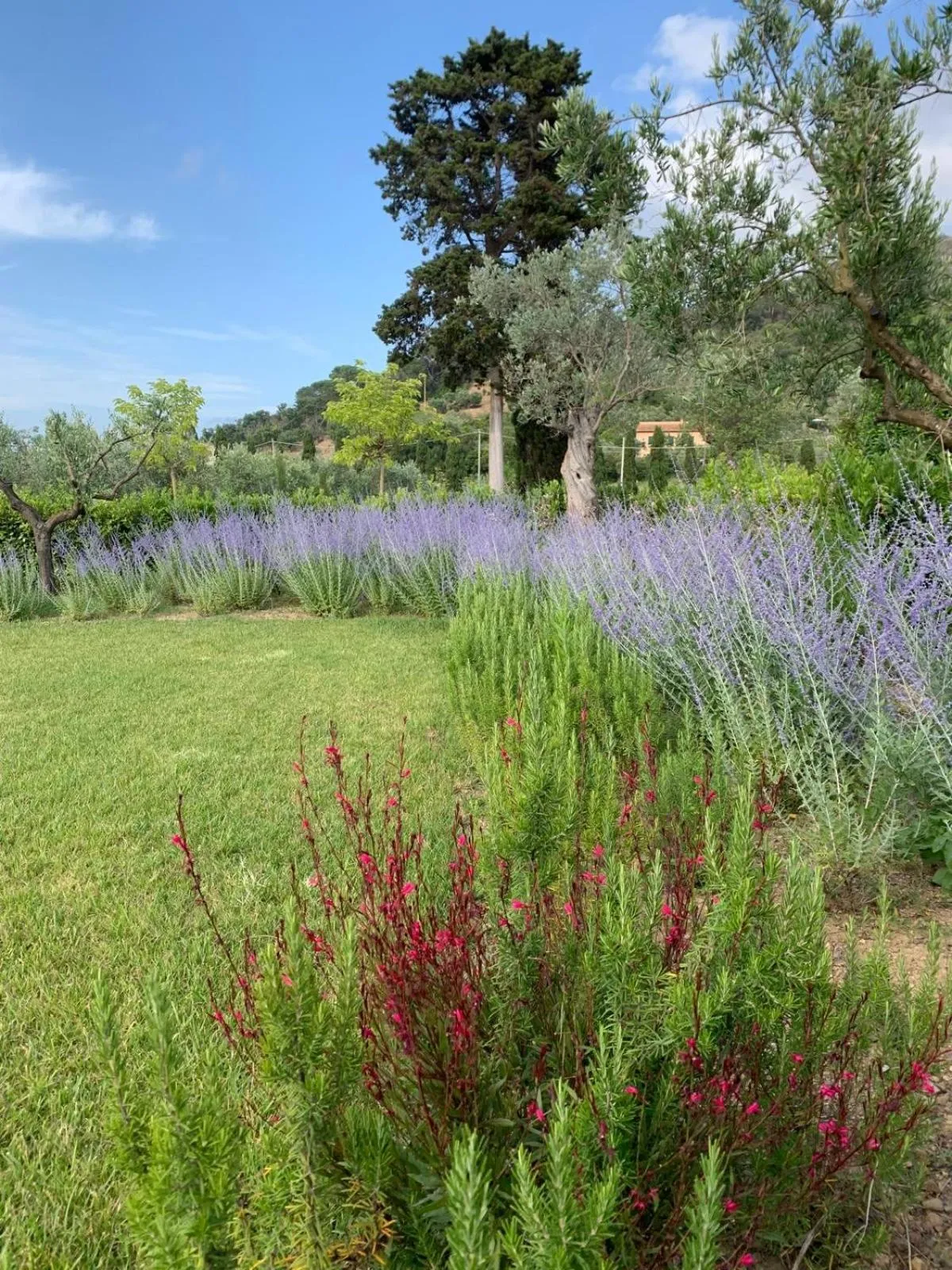 Casale Caterina Agriresort