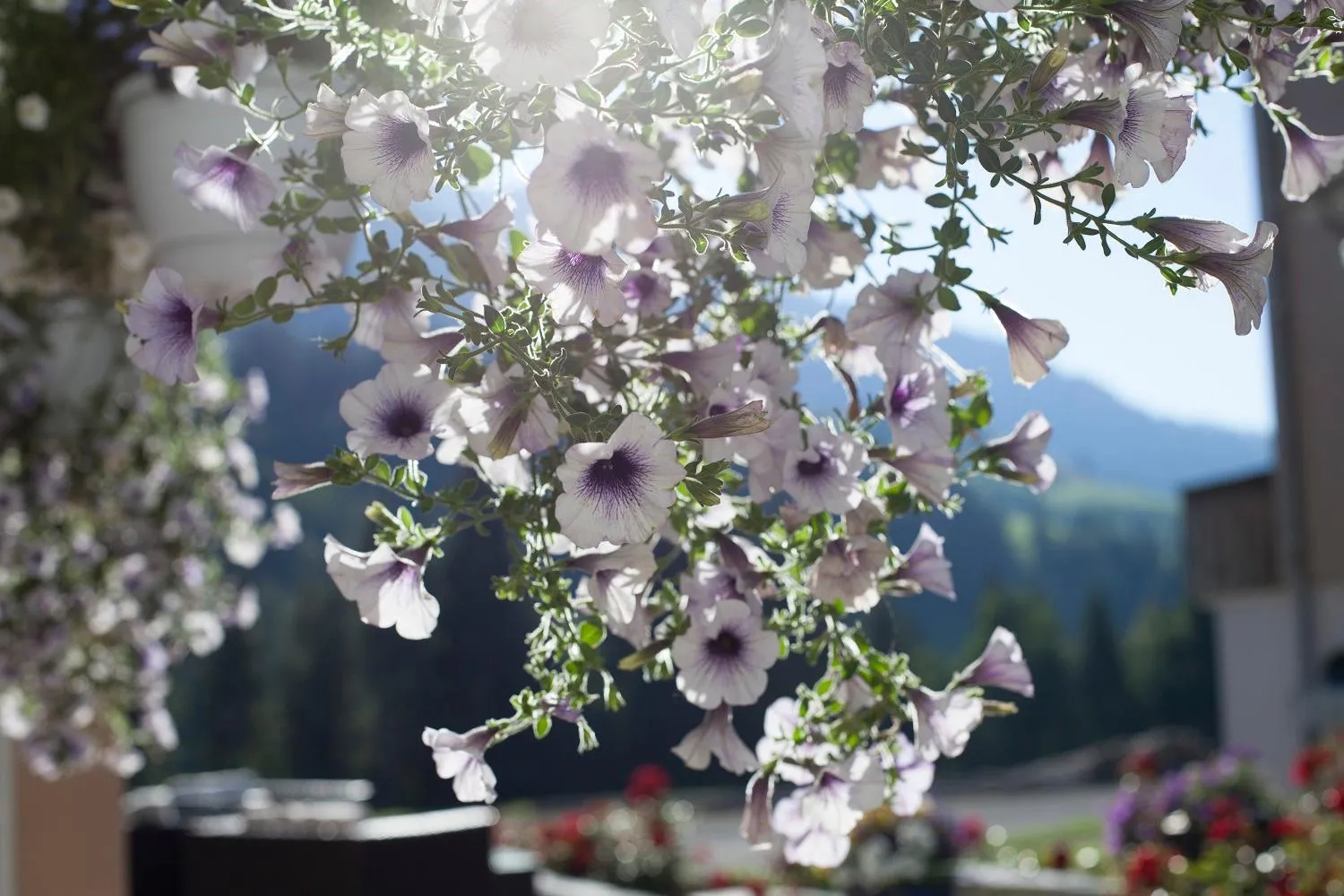 Staff in Hotel Rischli