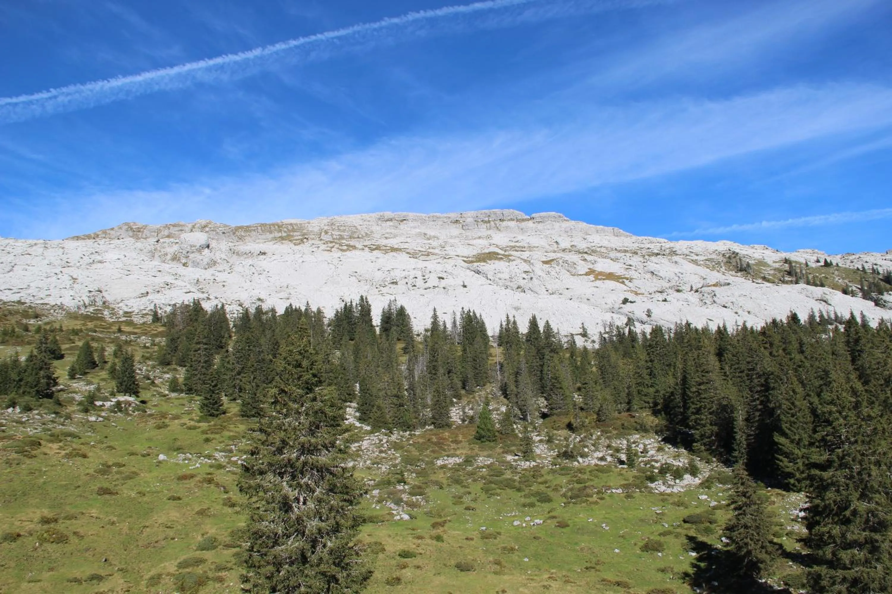 Hiking in Hotel Rischli