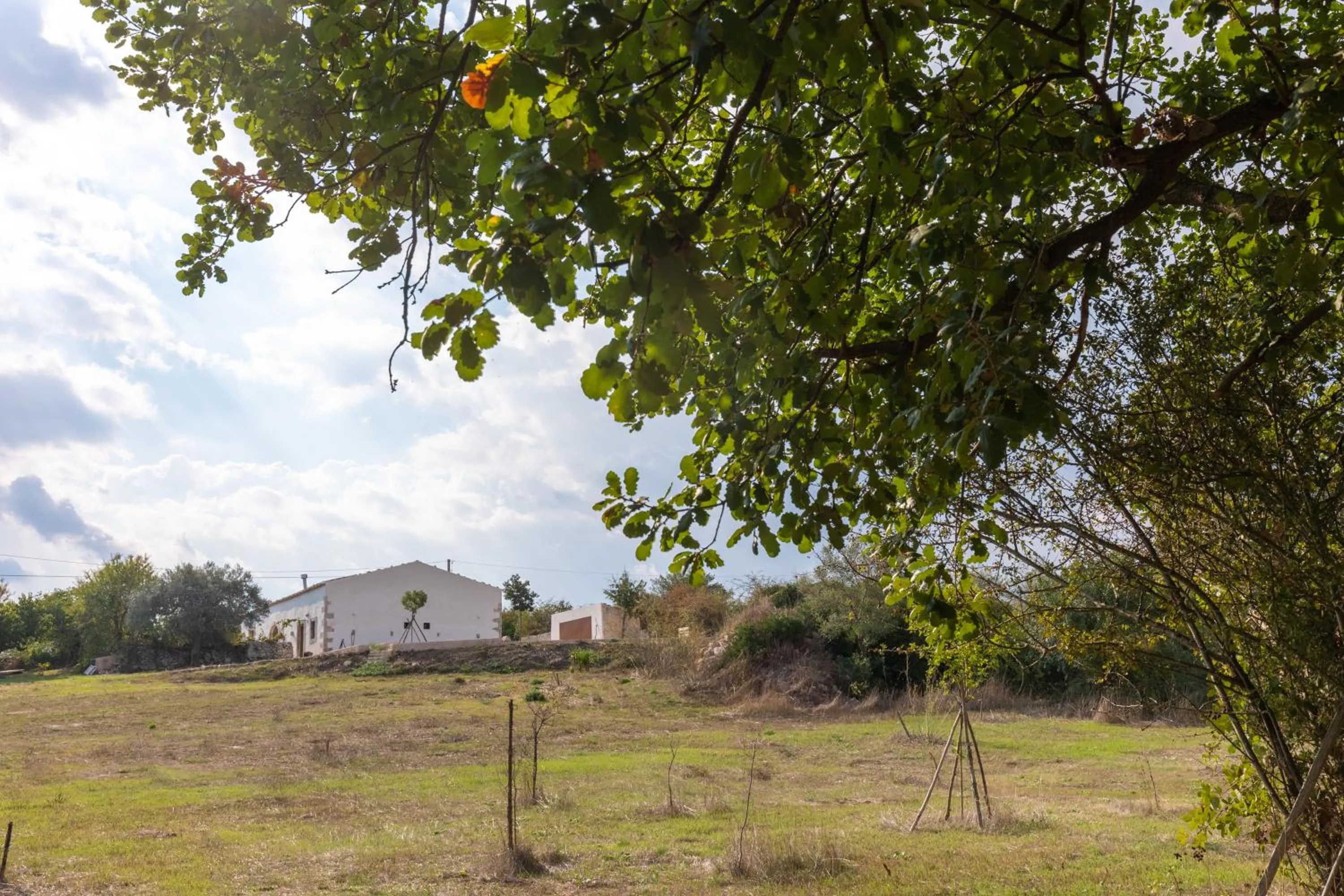 Natural landscape in Casa Balat