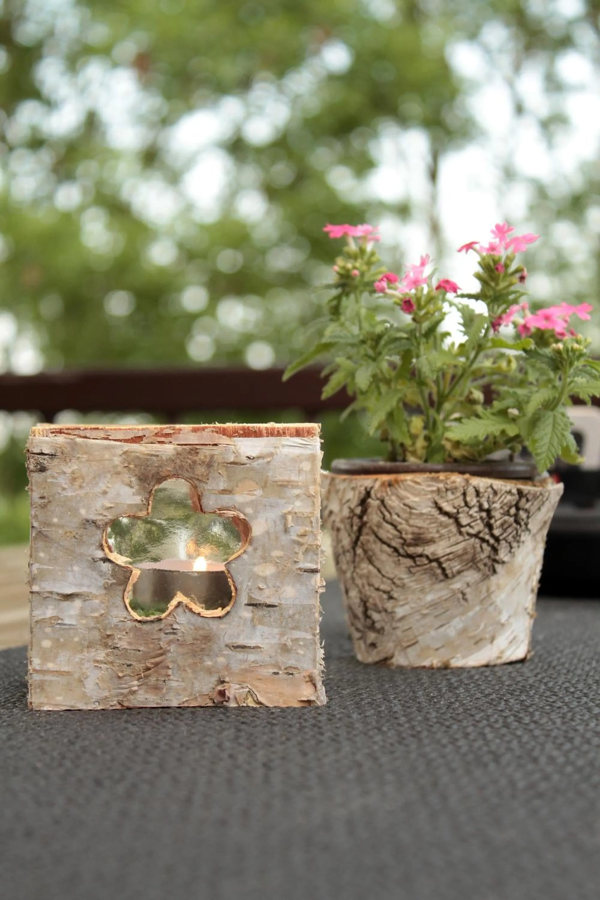 Restaurant/places to eat in Hotel Restaurant Zwergschlösschen