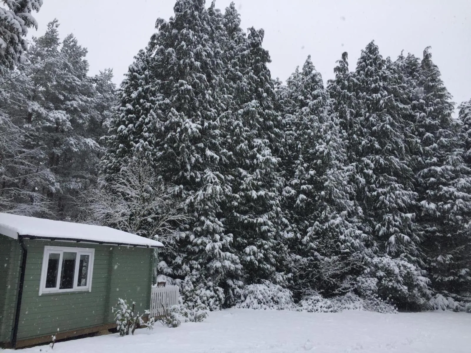 Woodland Cabin With private Wood-Fired Hot-Tub