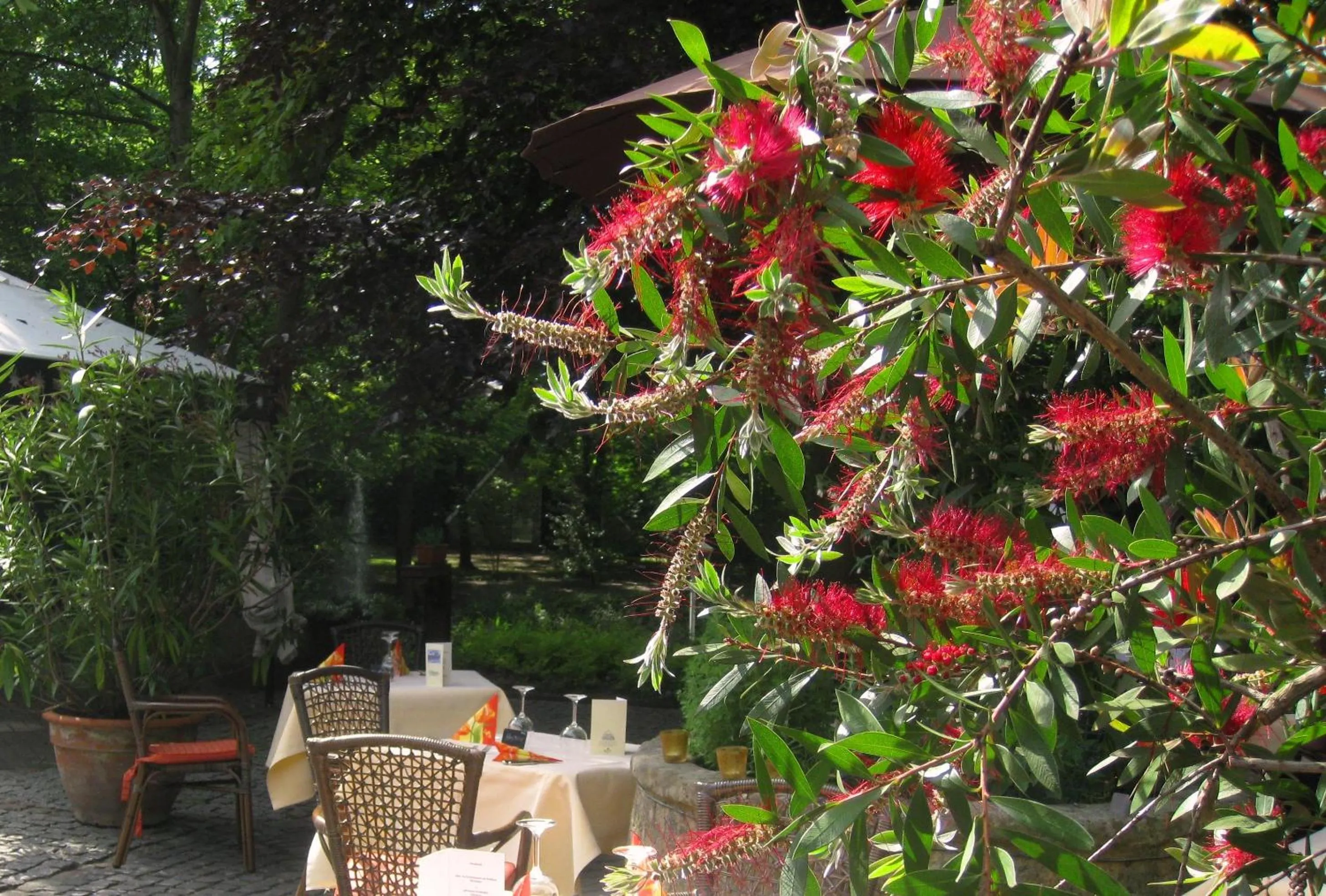 Patio in Landidyll Wilminks Parkhotel
