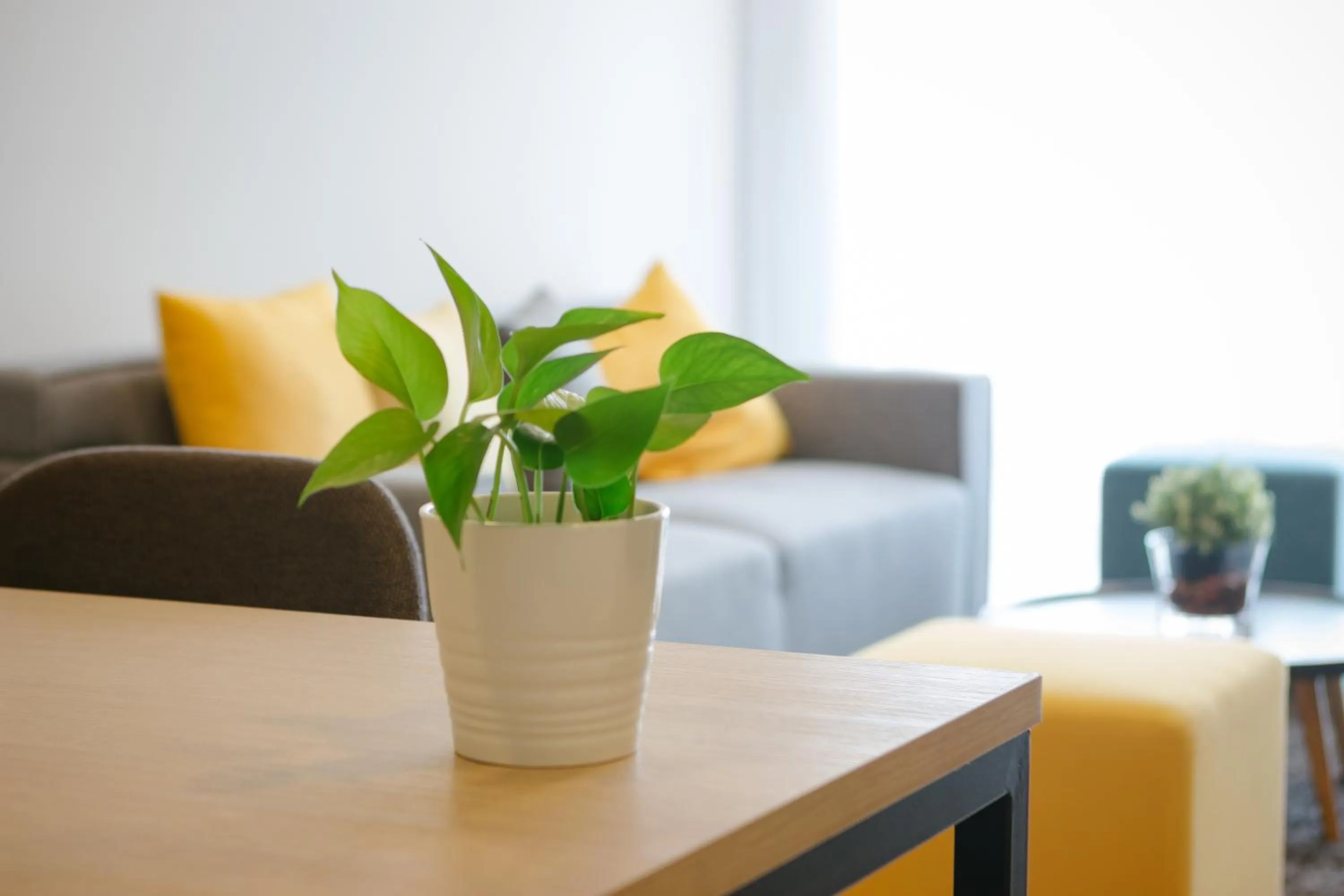 Living room in Genting Premium Suite Windmill Upon Hills by JAz Home Suites