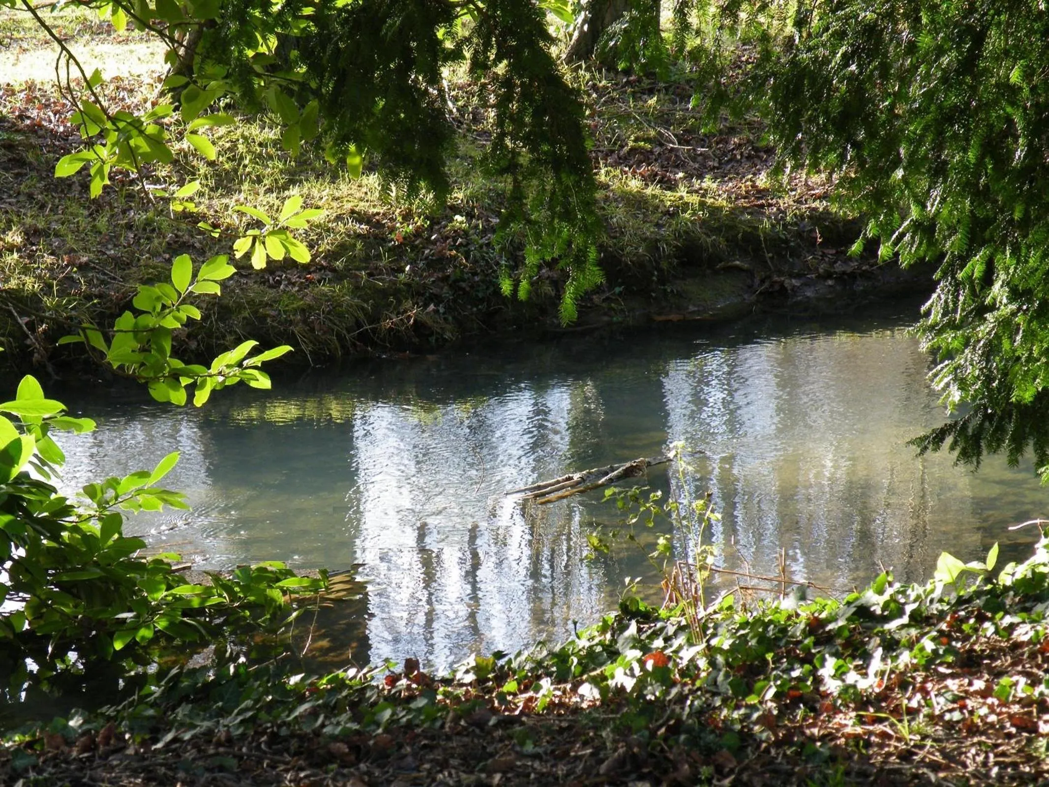 Garden in La Villa Camille