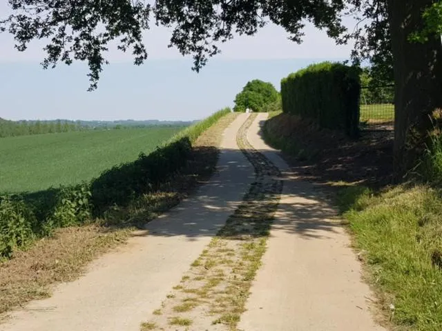 Neighbourhood in Boslucht Leuven