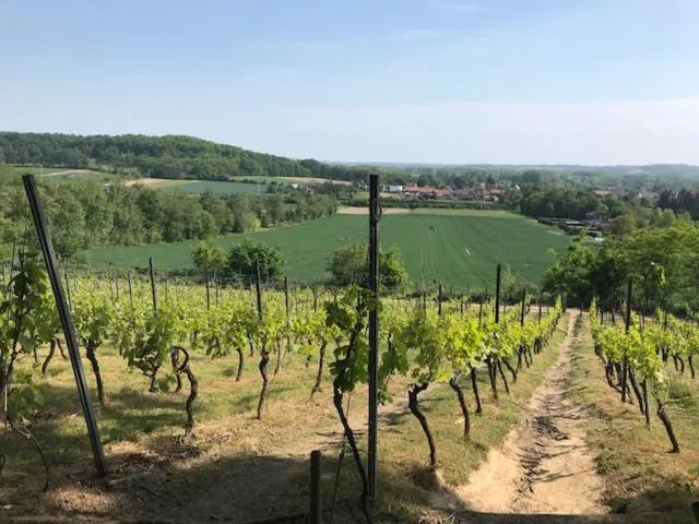 Natural landscape in Boslucht Leuven