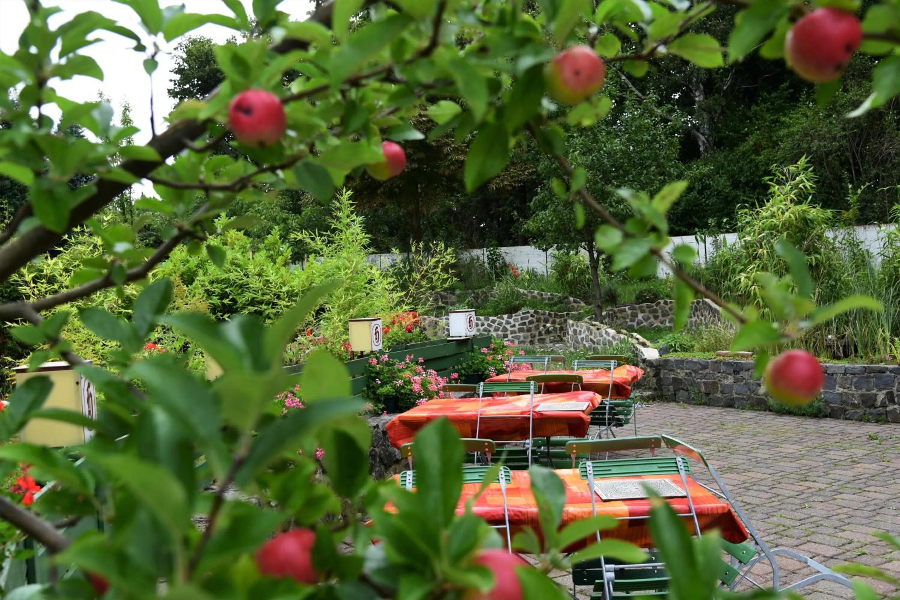 Garden in Hotel Harsshof