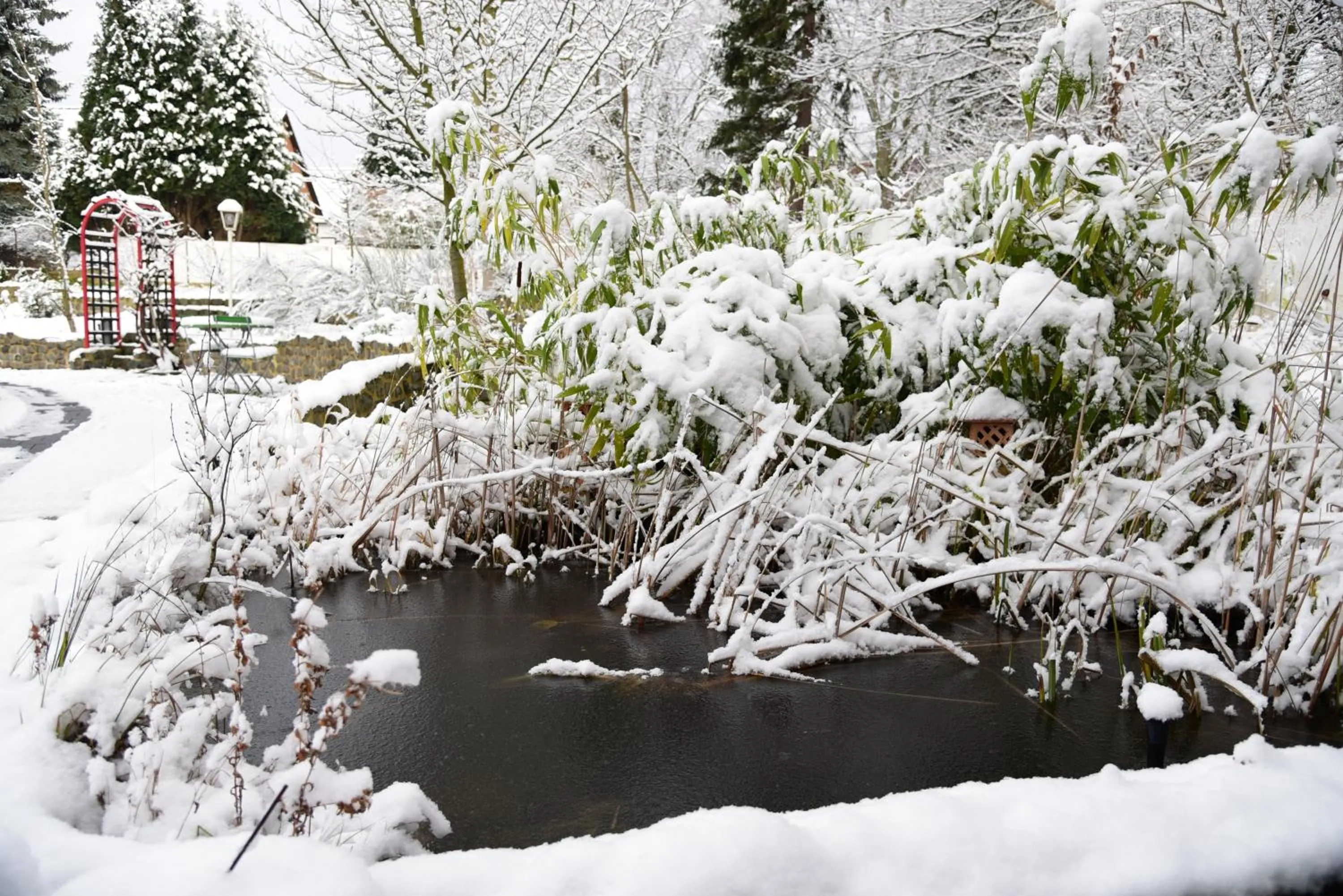Garden in Hotel Harsshof