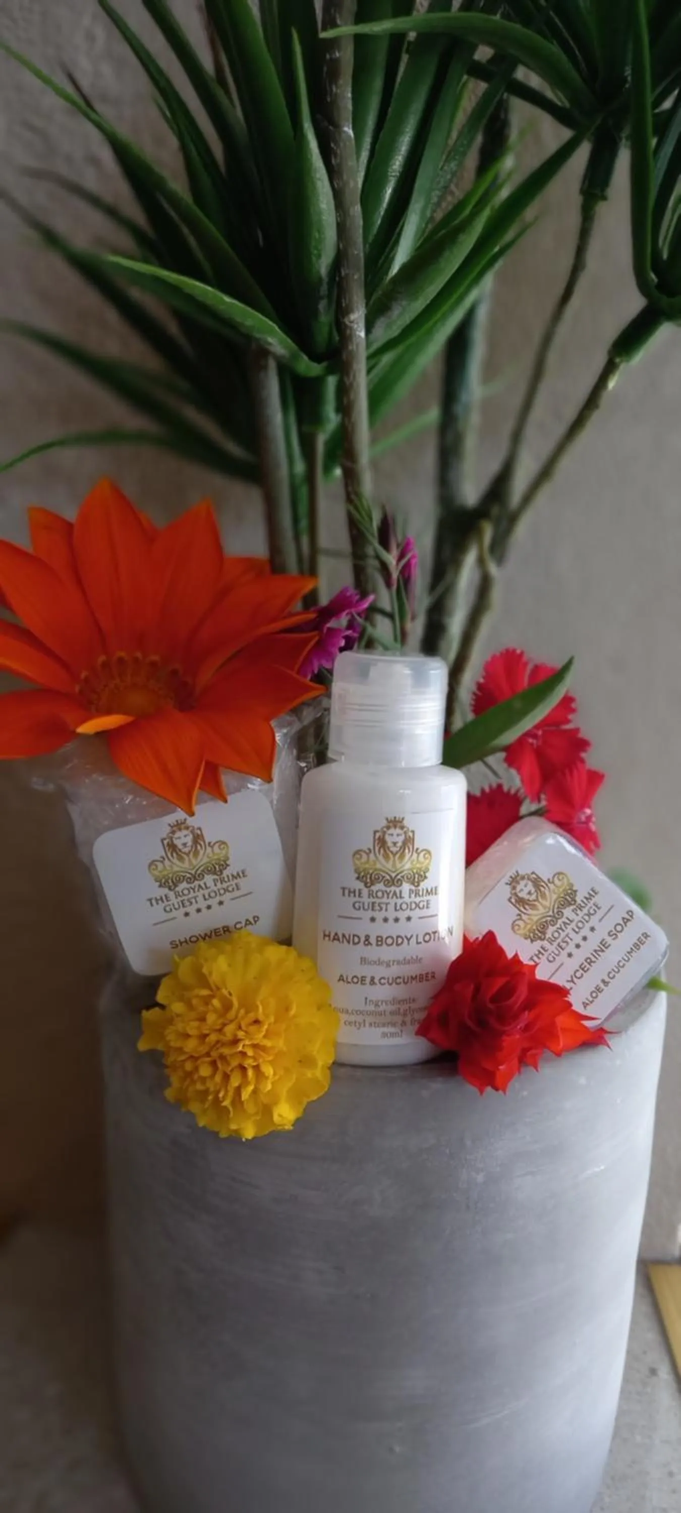 The Royal Prime Guest Lodge