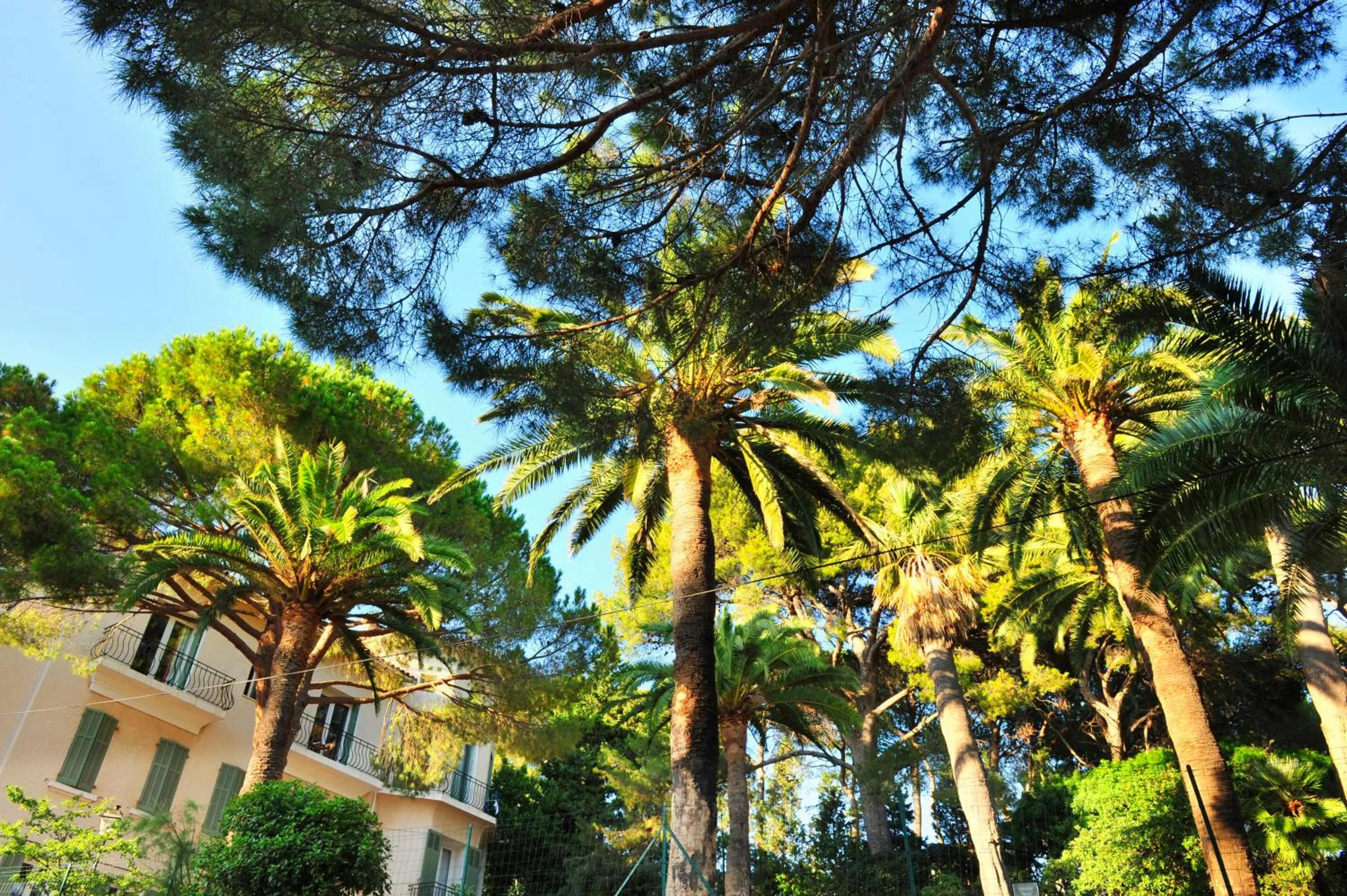 Property building in VTF Clairefont