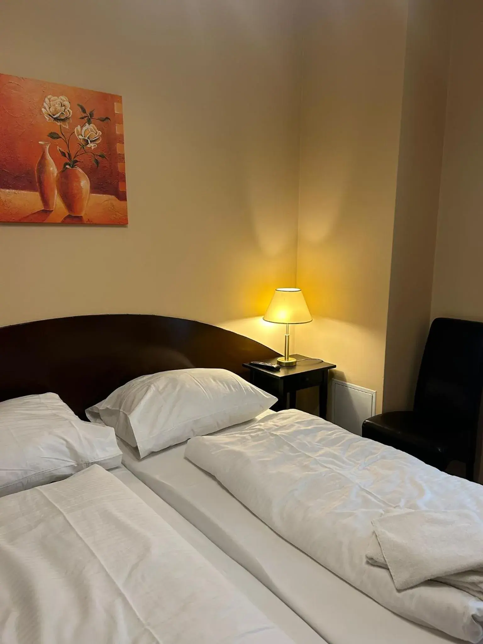 Basic Double Room in Hotel Adam Basic Double Room in Hotel Adam