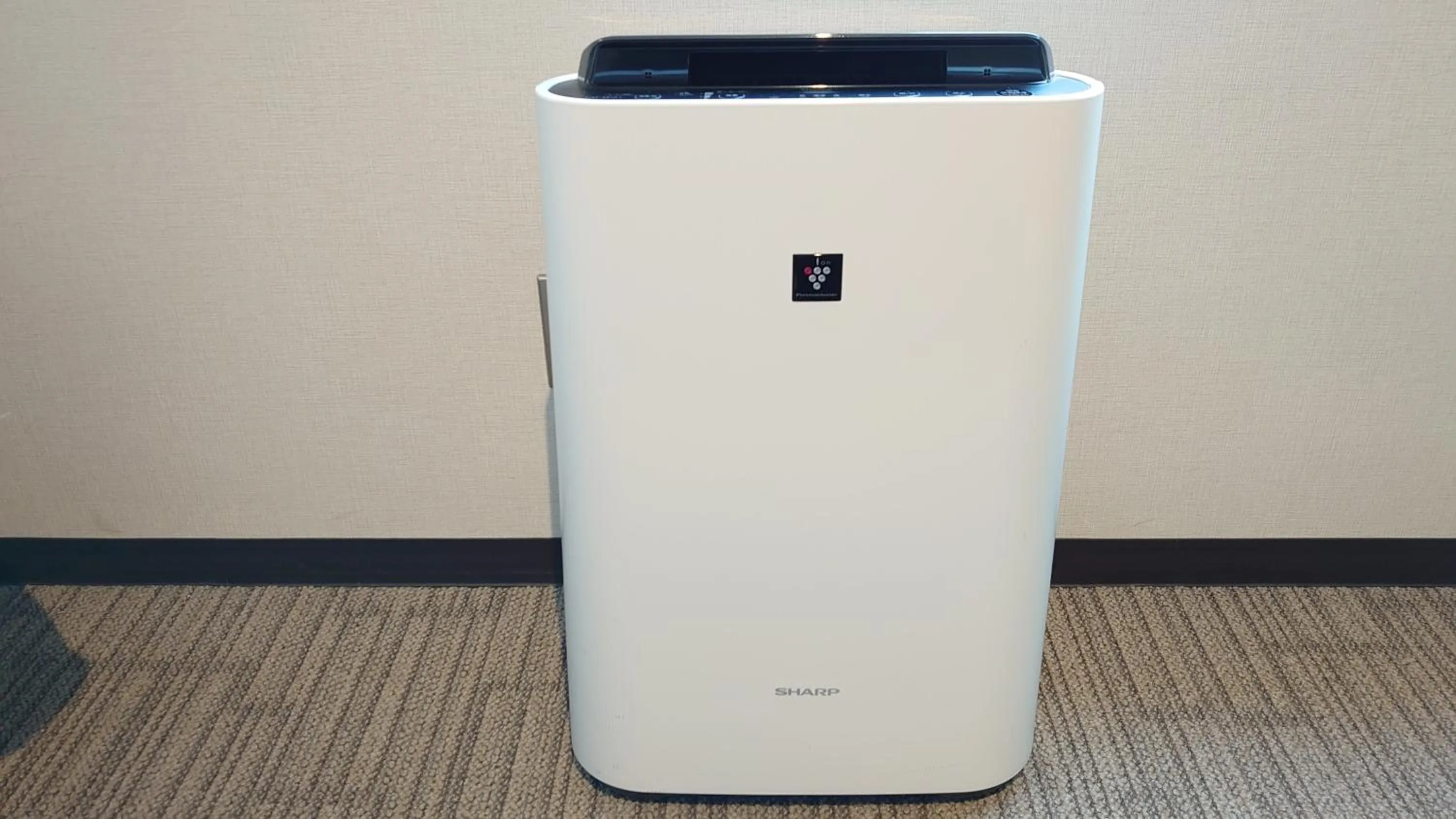 Photo of the whole room in Kochi Hotel