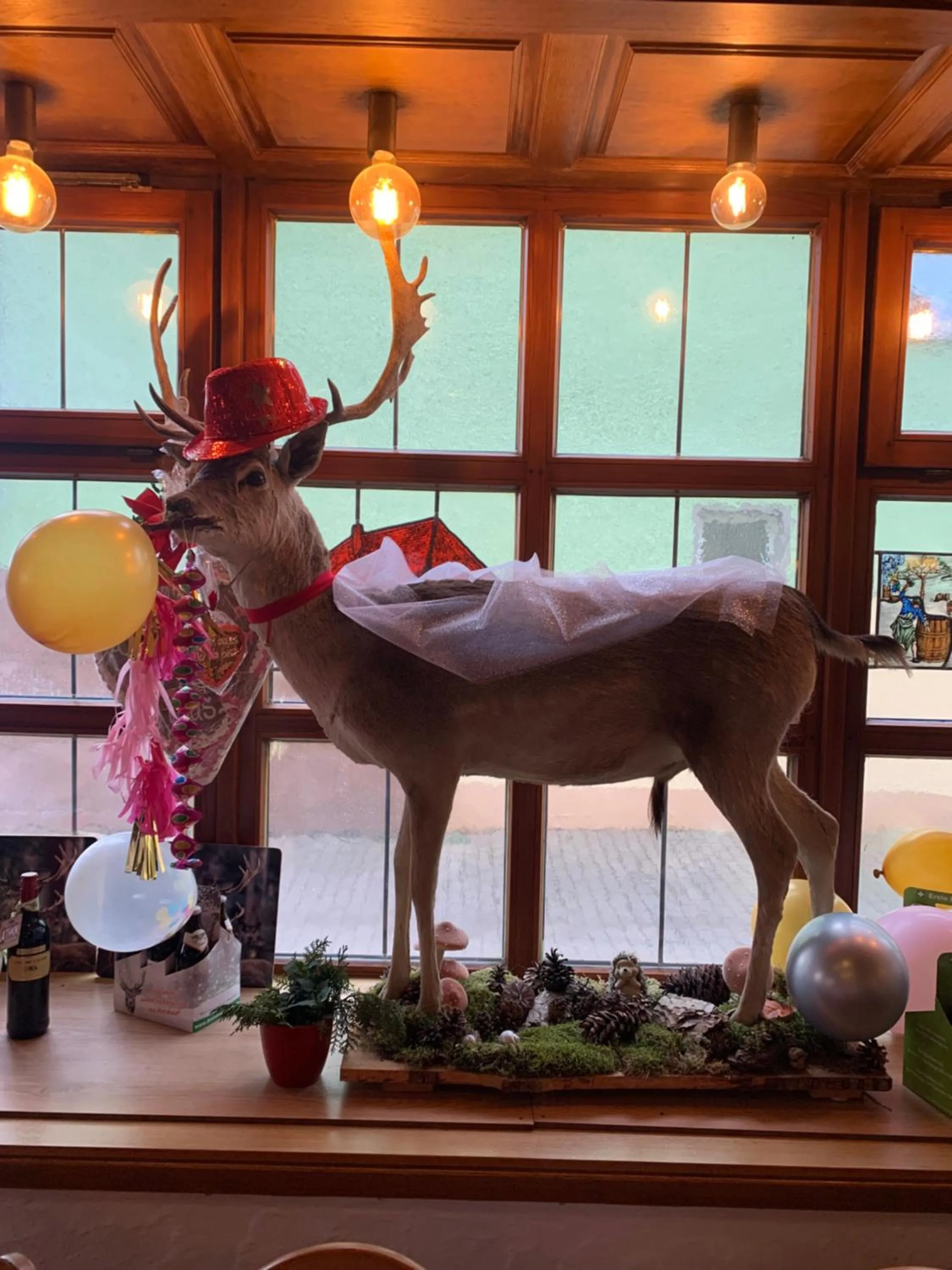 Brauerei Gasthof Kraus