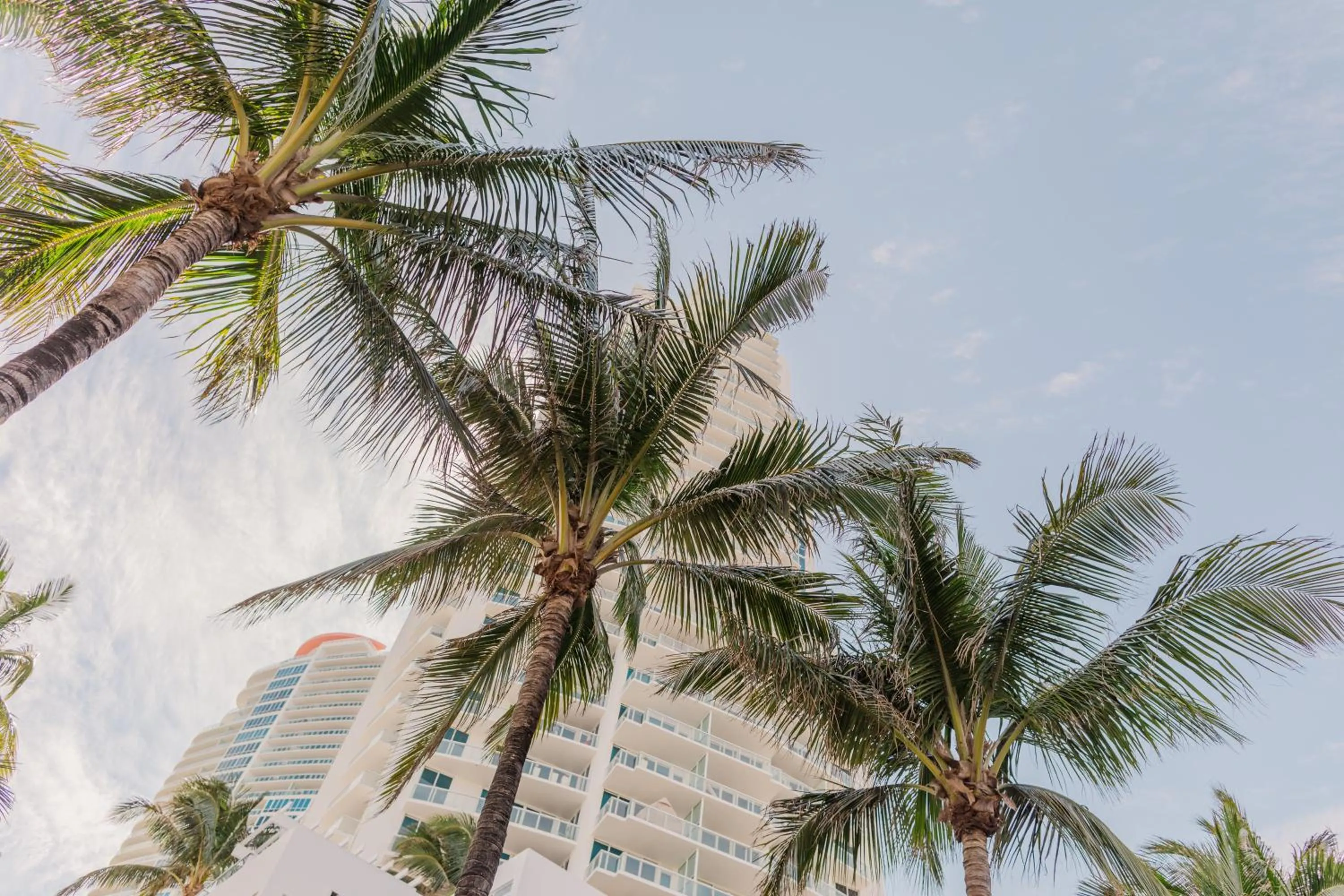 Nearby landmark in Rock Apartments by Lowkl