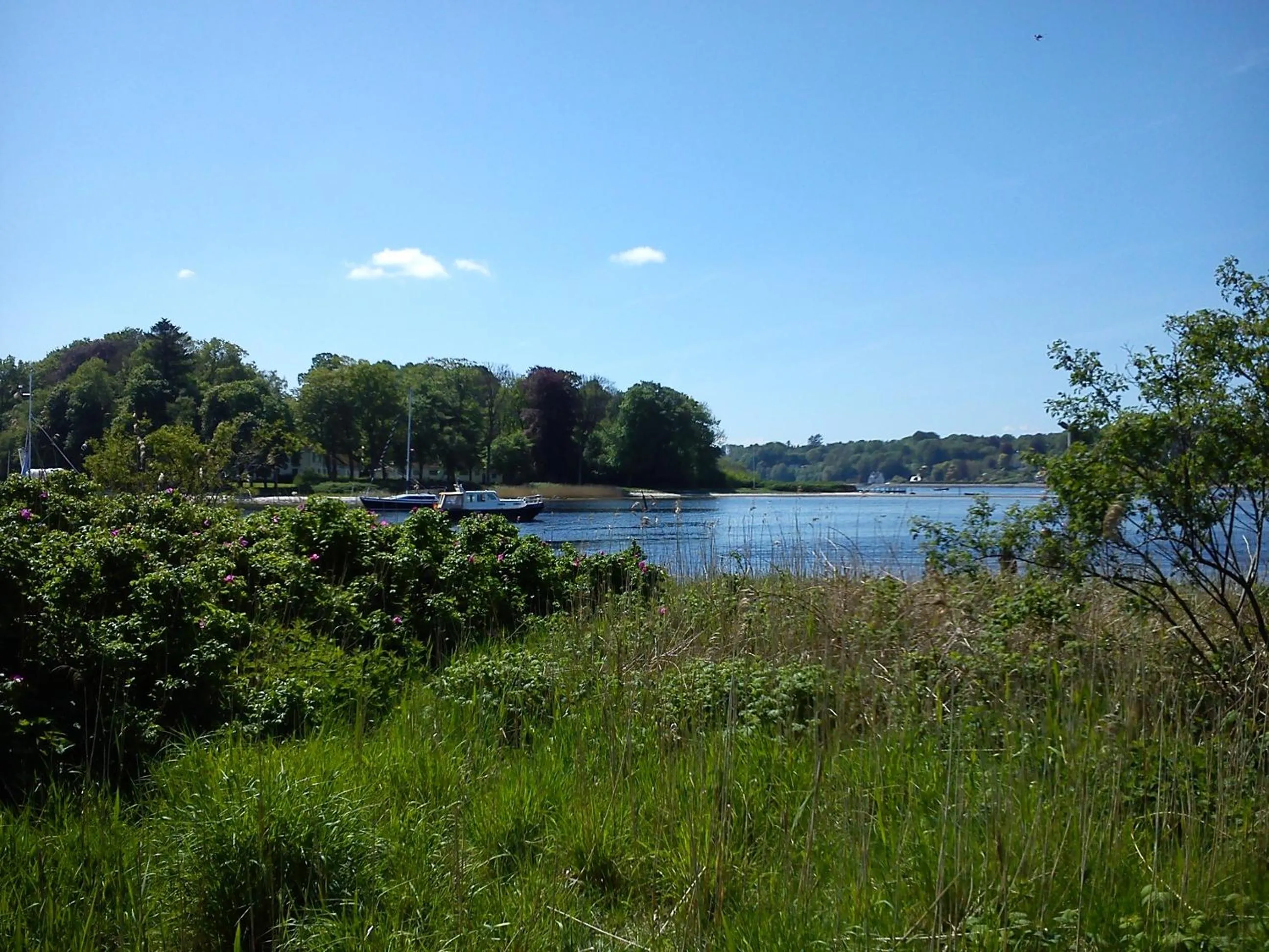 Natural landscape in Gästehaus Flensburg Engelsby