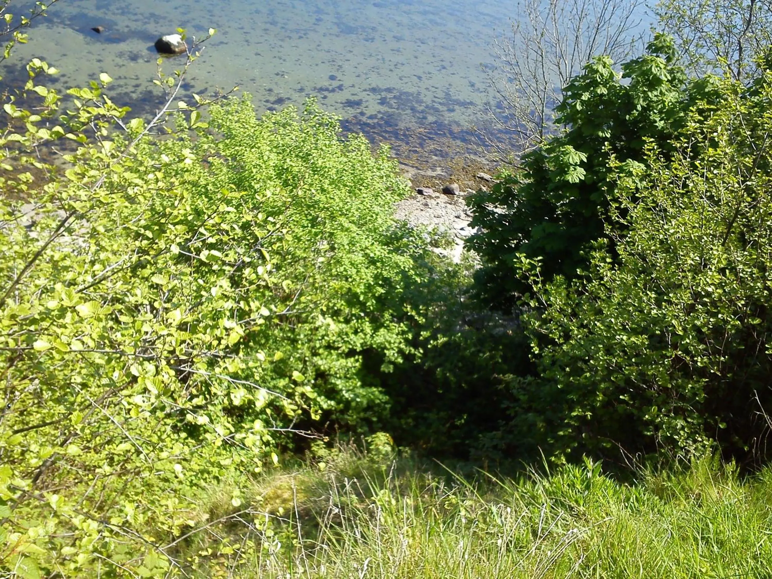Natural landscape in Gästehaus Flensburg Engelsby