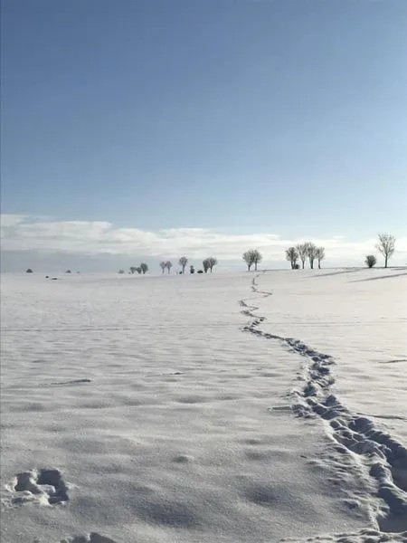 Staff in Hotel Schöne Aussicht