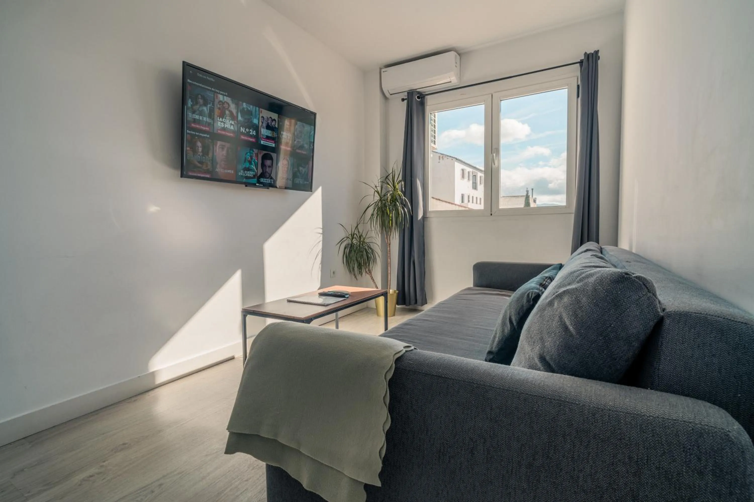 TV and multimedia in Apartamentos Avanel