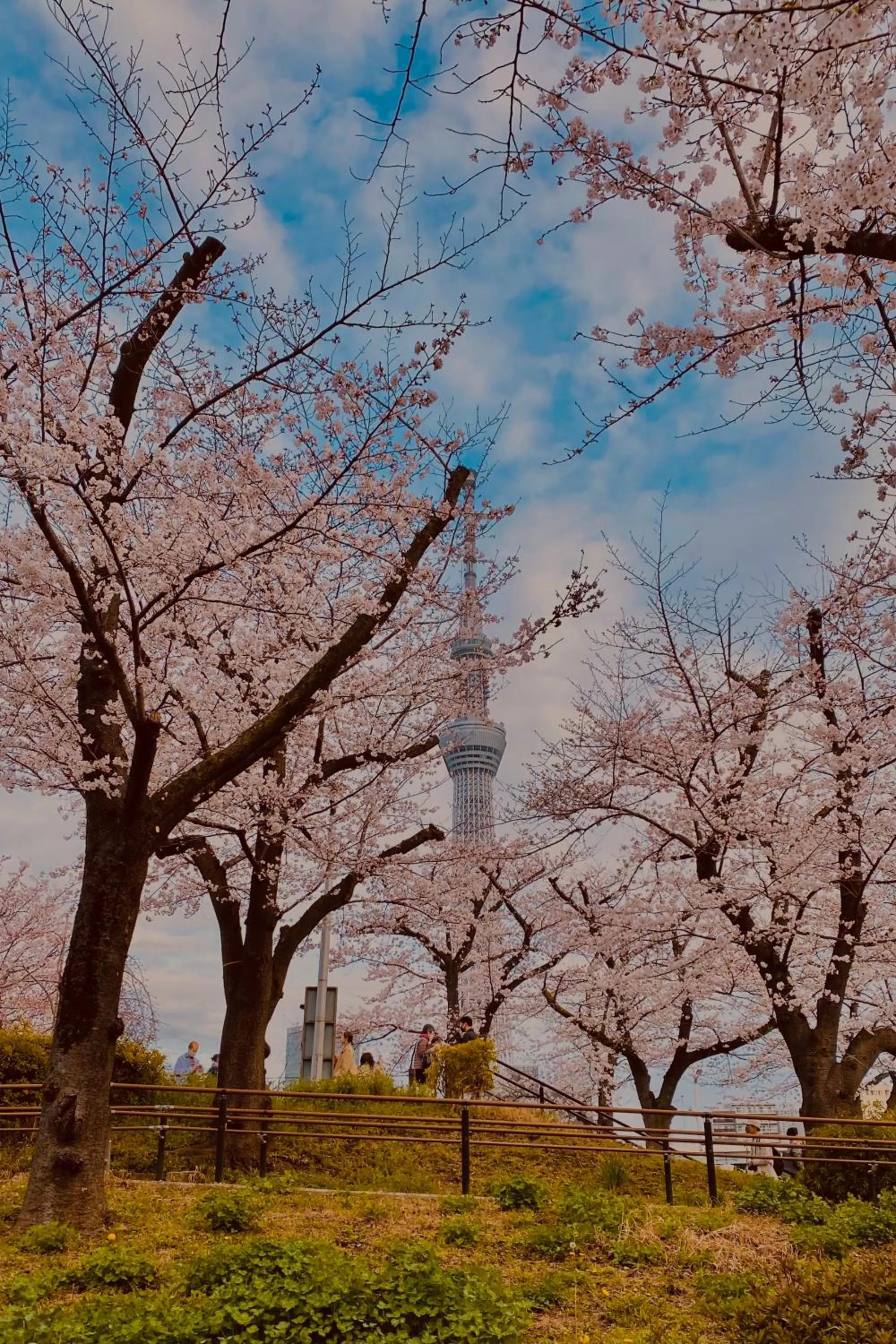 Nearby landmark in TOE LIBRARY Tokyo Asakusa