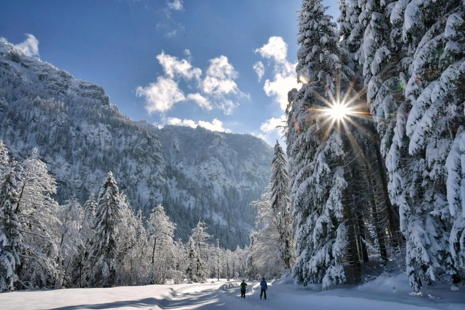 Landhotel Binderhäusl Garni