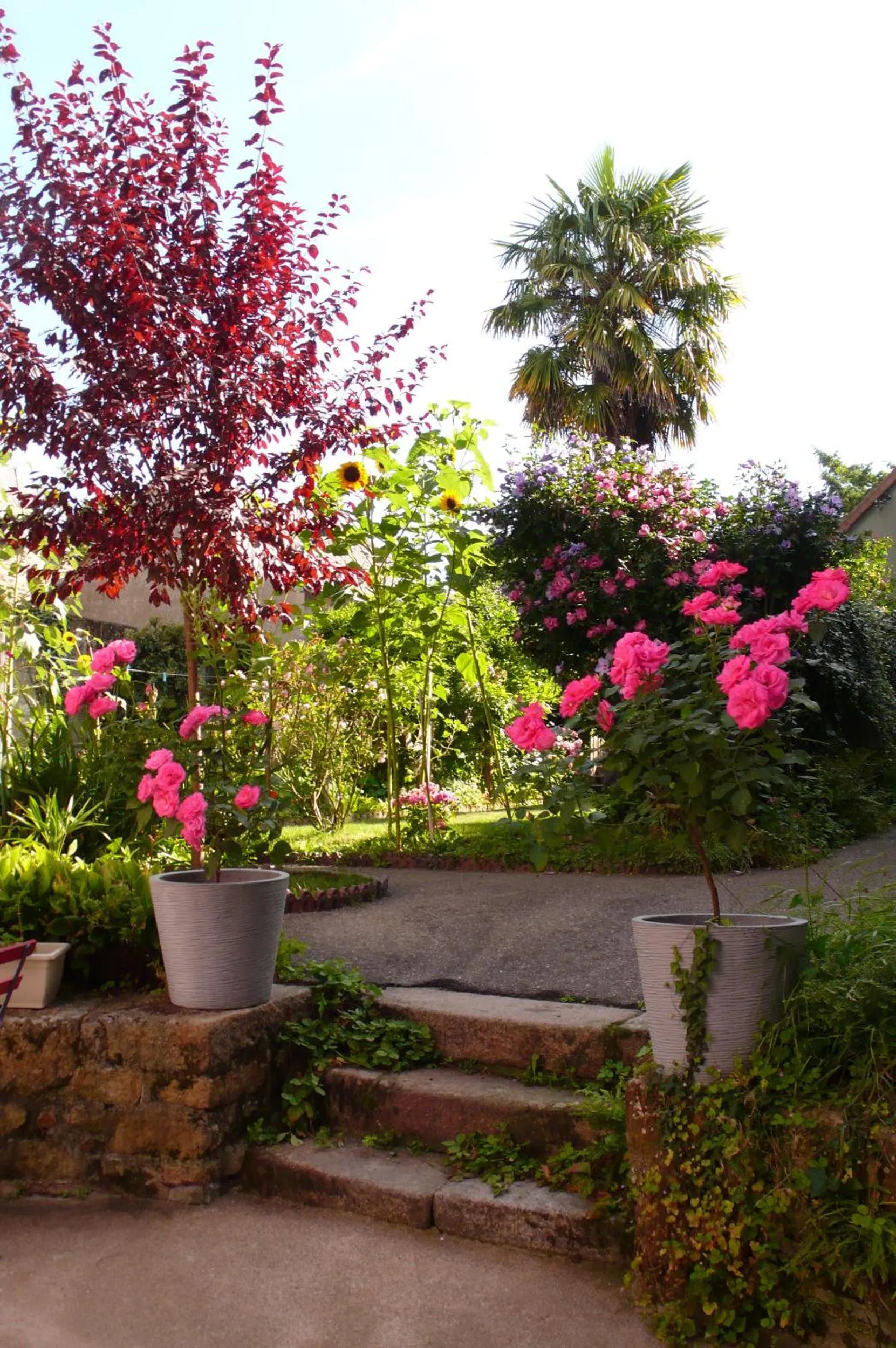 Garden in Villa Mons