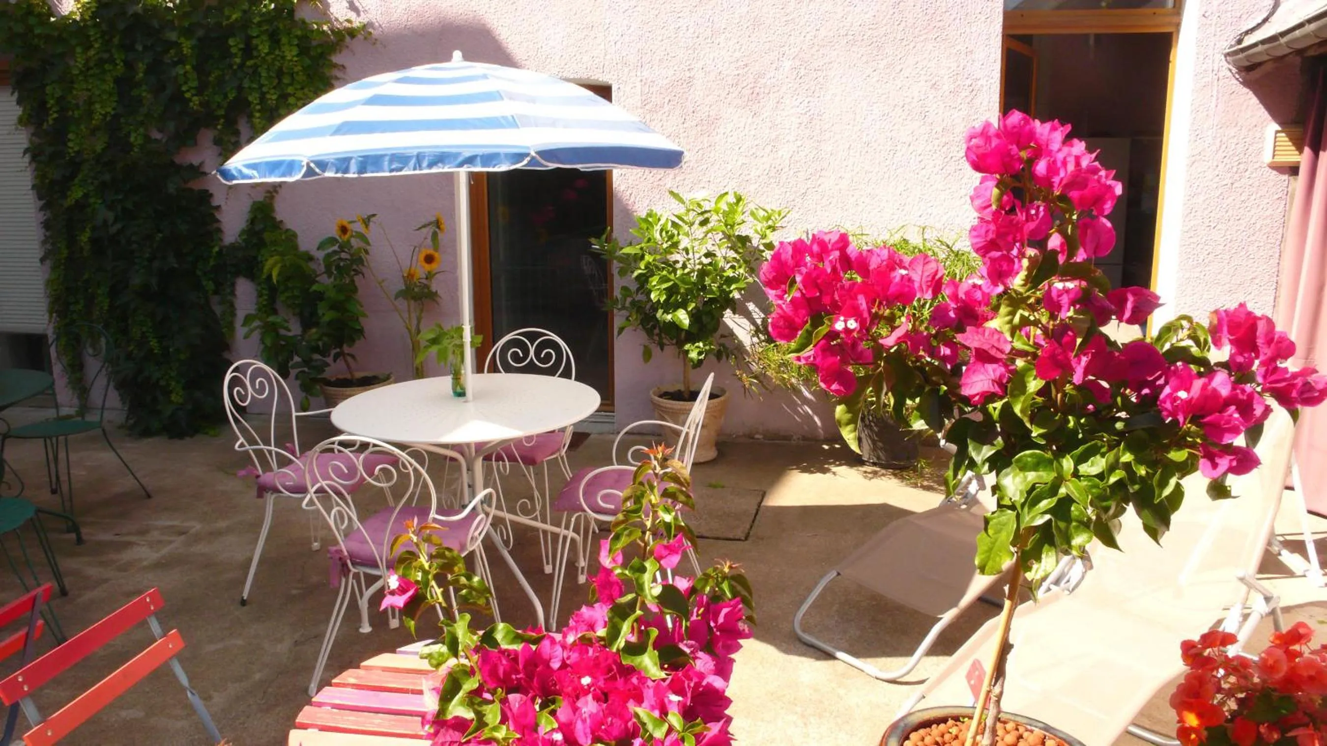 Garden in Villa Mons