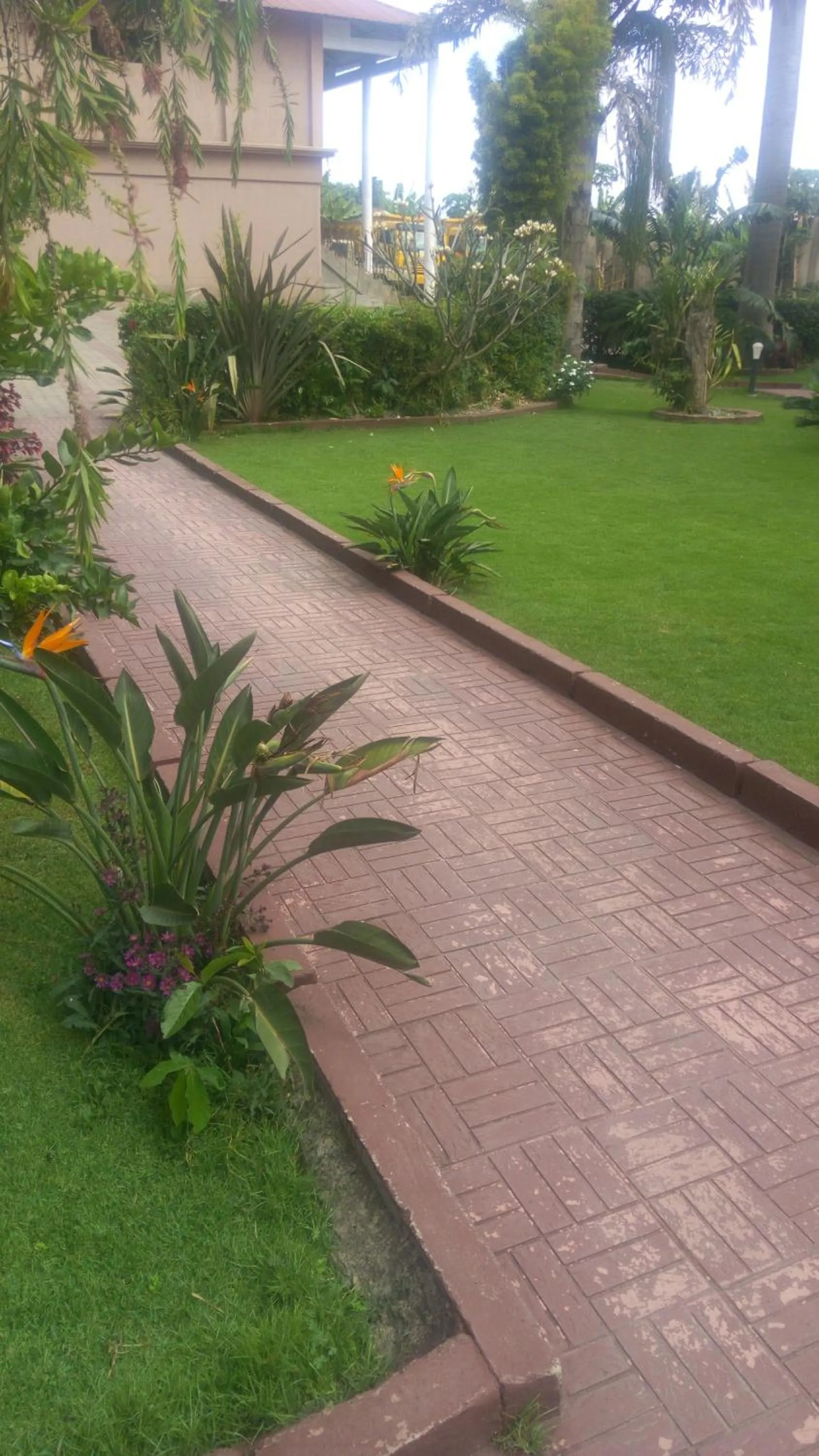 Garden in New Charity Hotel International