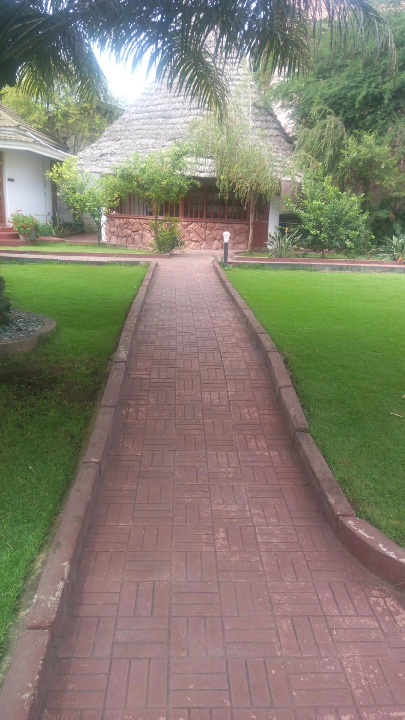 Garden in New Charity Hotel International