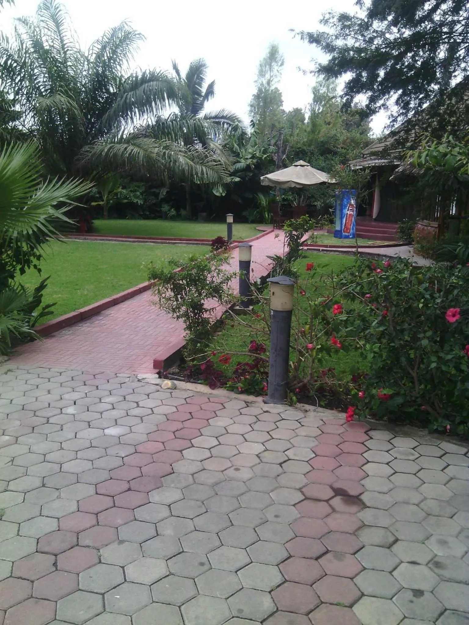 Garden in New Charity Hotel International