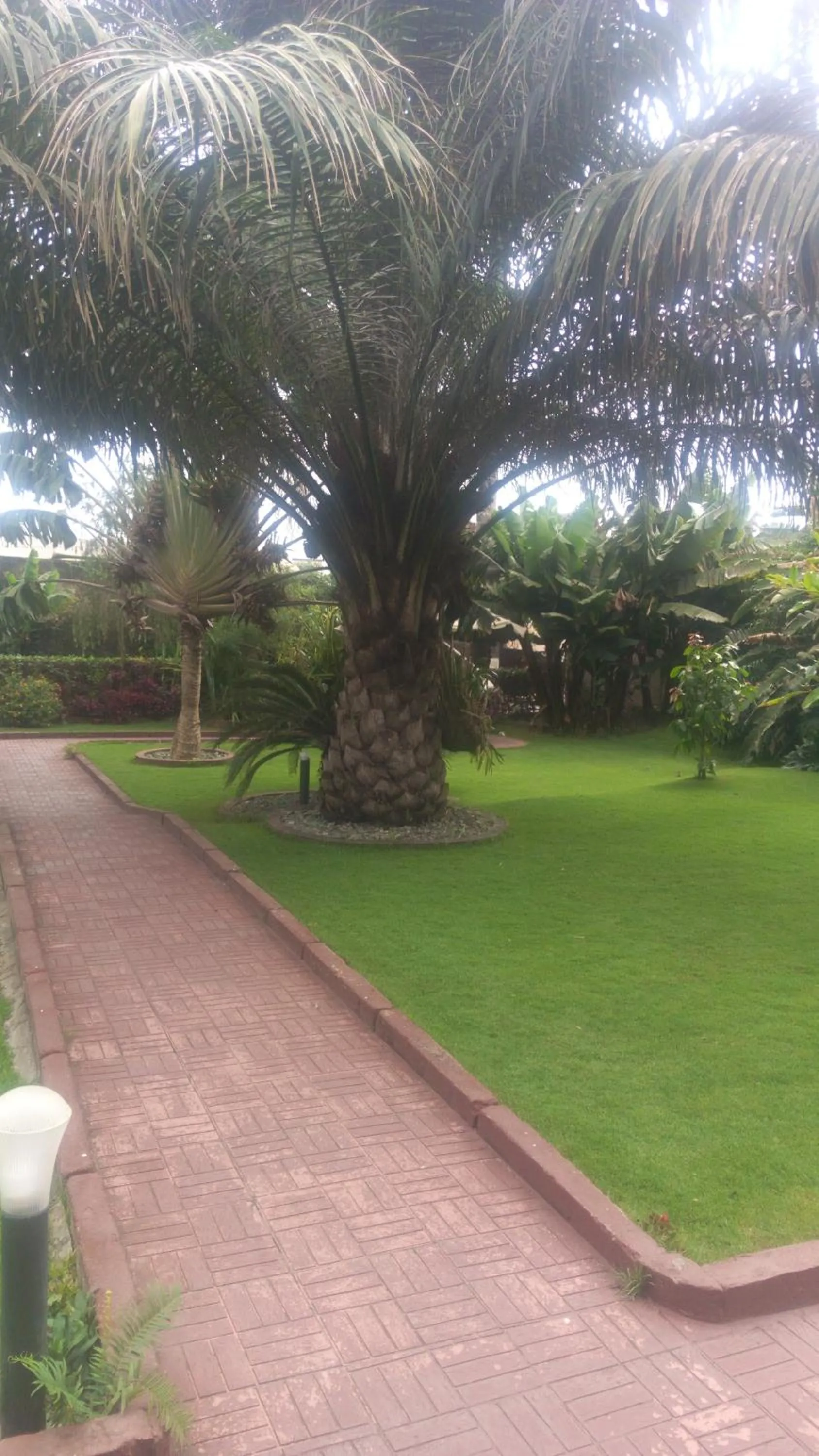 Garden in New Charity Hotel International