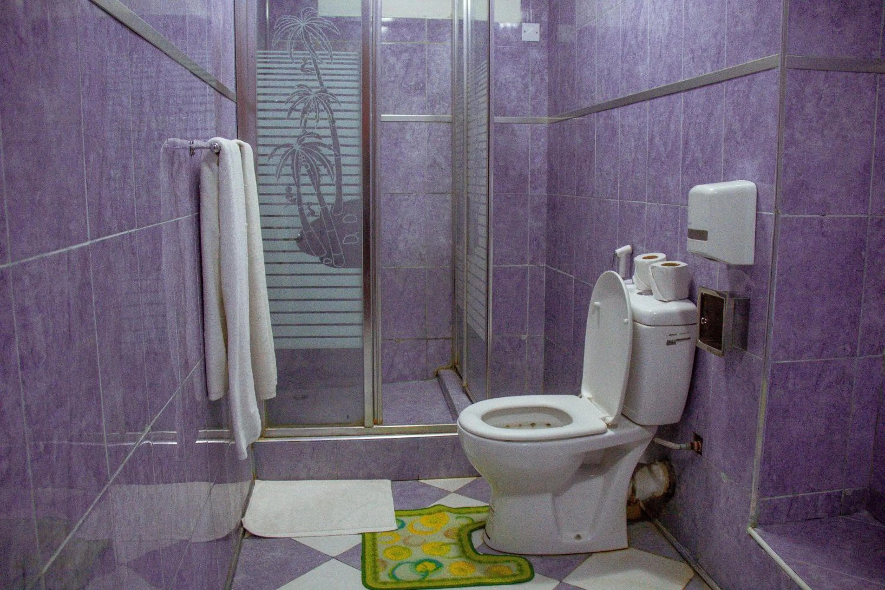 Shower in New Charity Hotel International