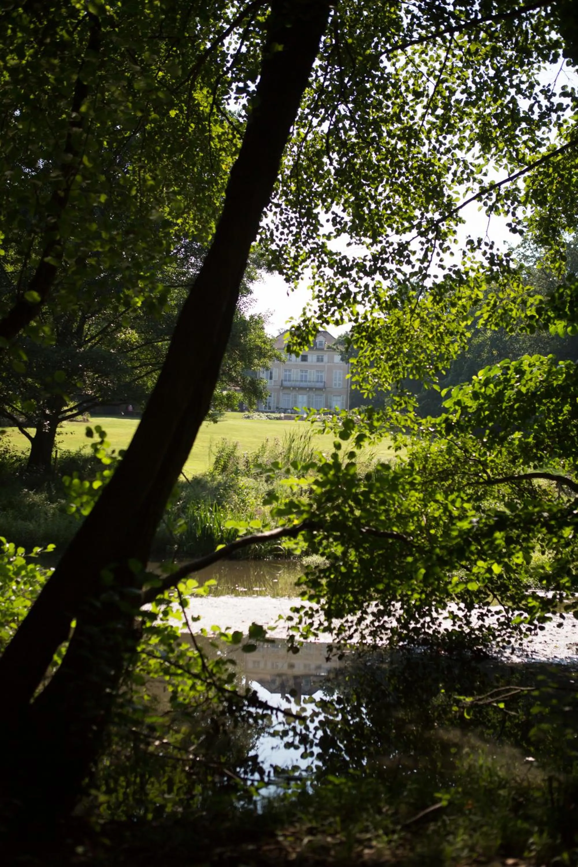 Garden in Le Chateau De La Vierge