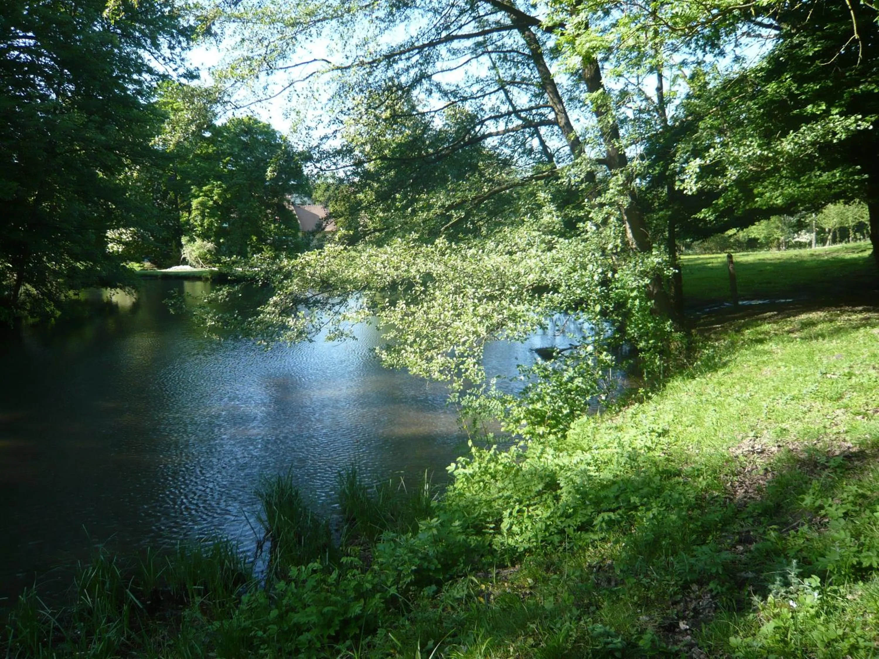 Garden in Le Chateau De La Vierge