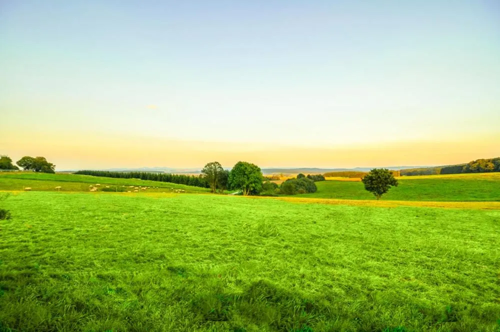 Day in Hotel Kalenborner Höhe