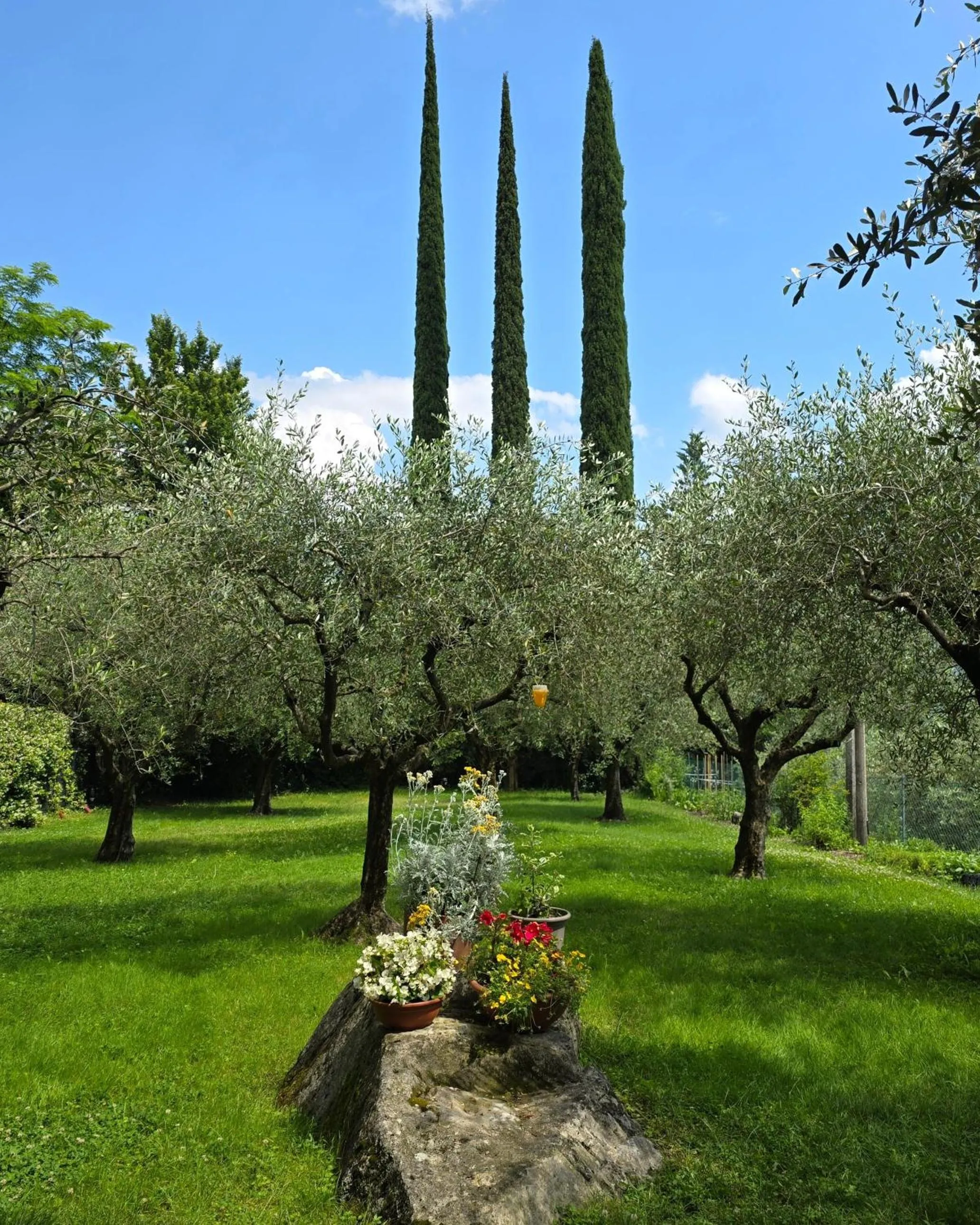 Garden in La Berlera - Riva del Garda