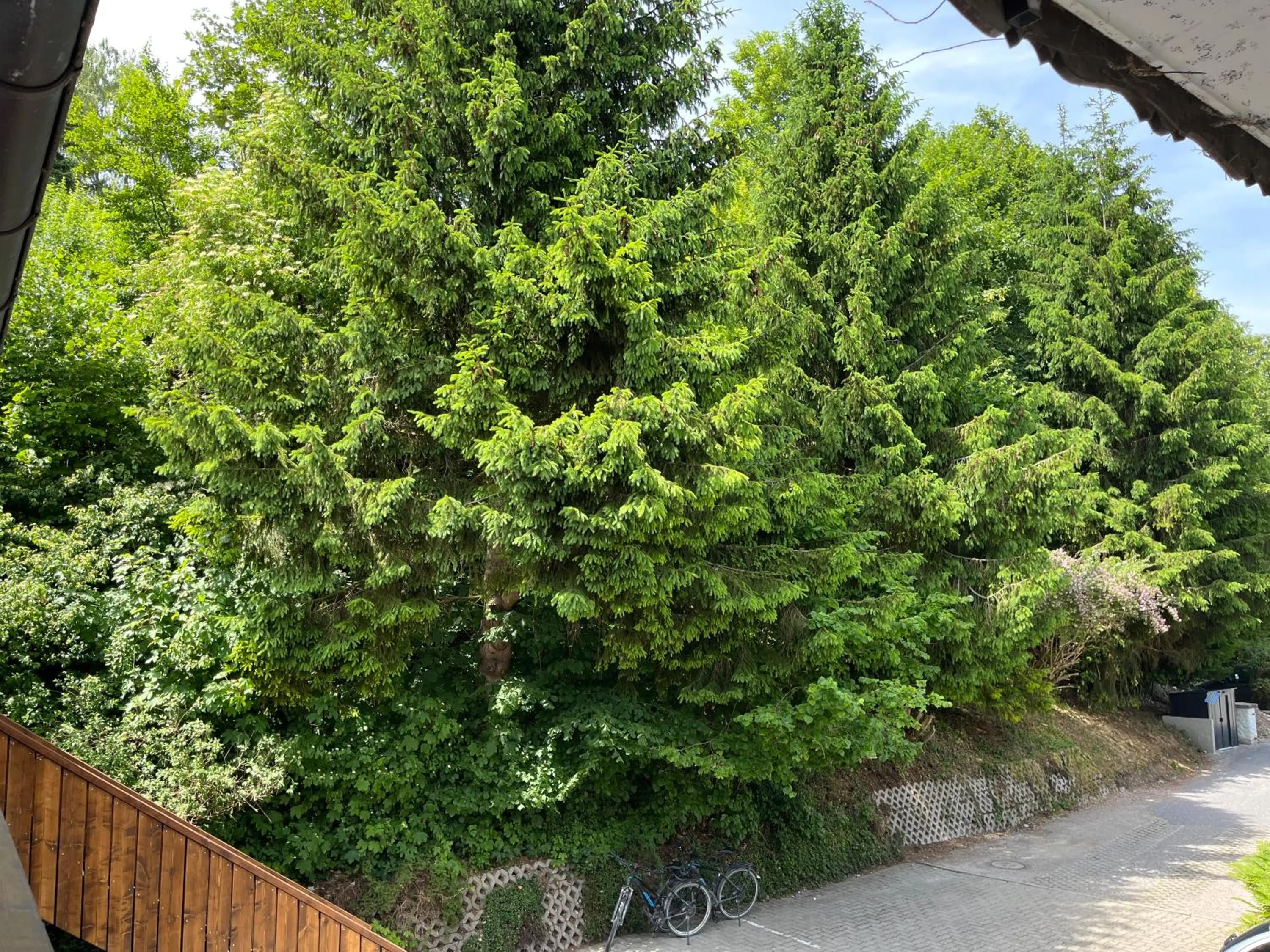 Staff in Gästehaus Forggensee