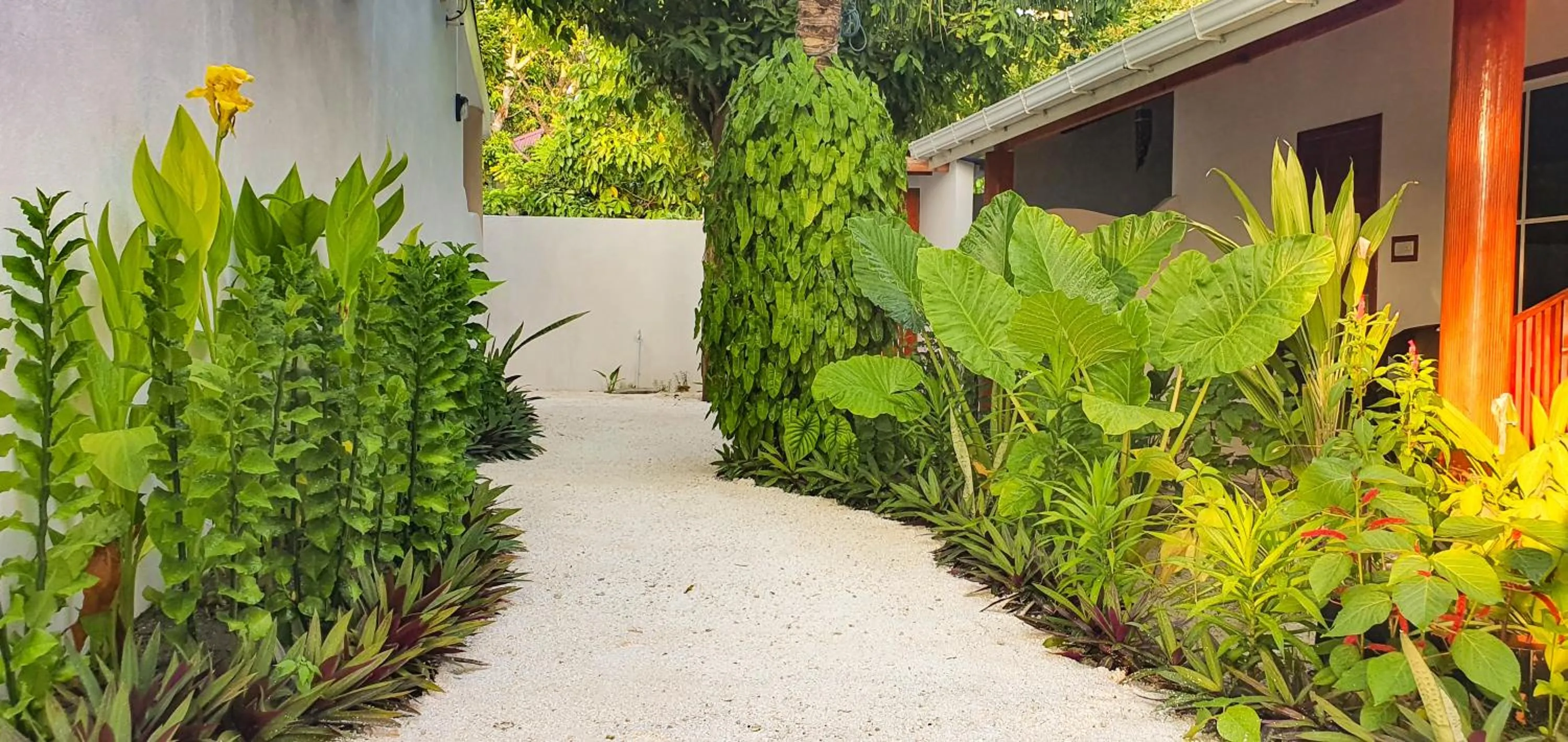 Garden view in Thoddoo Island Life