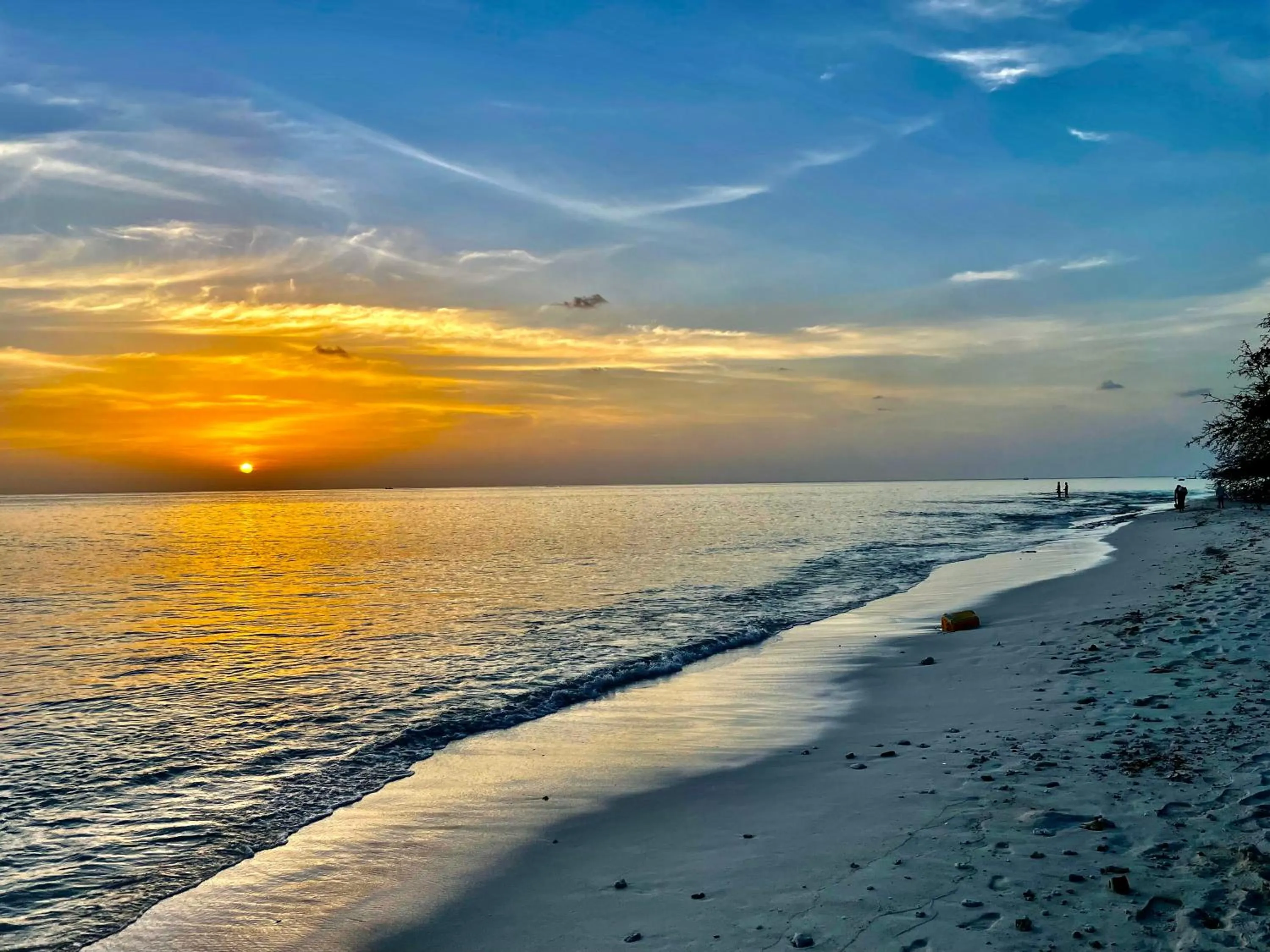 Natural landscape in Thoddoo Island Life